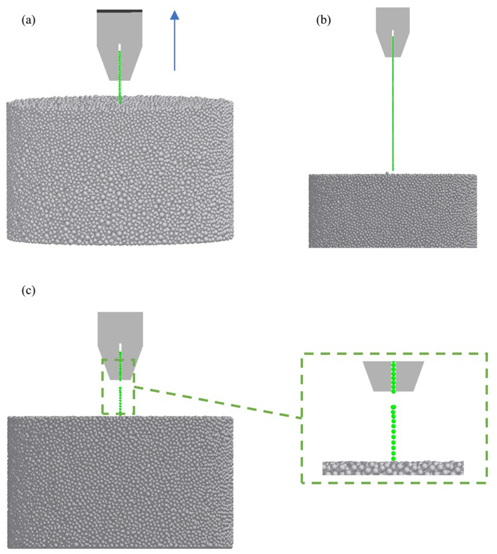 Agriculture 15 02427 g013