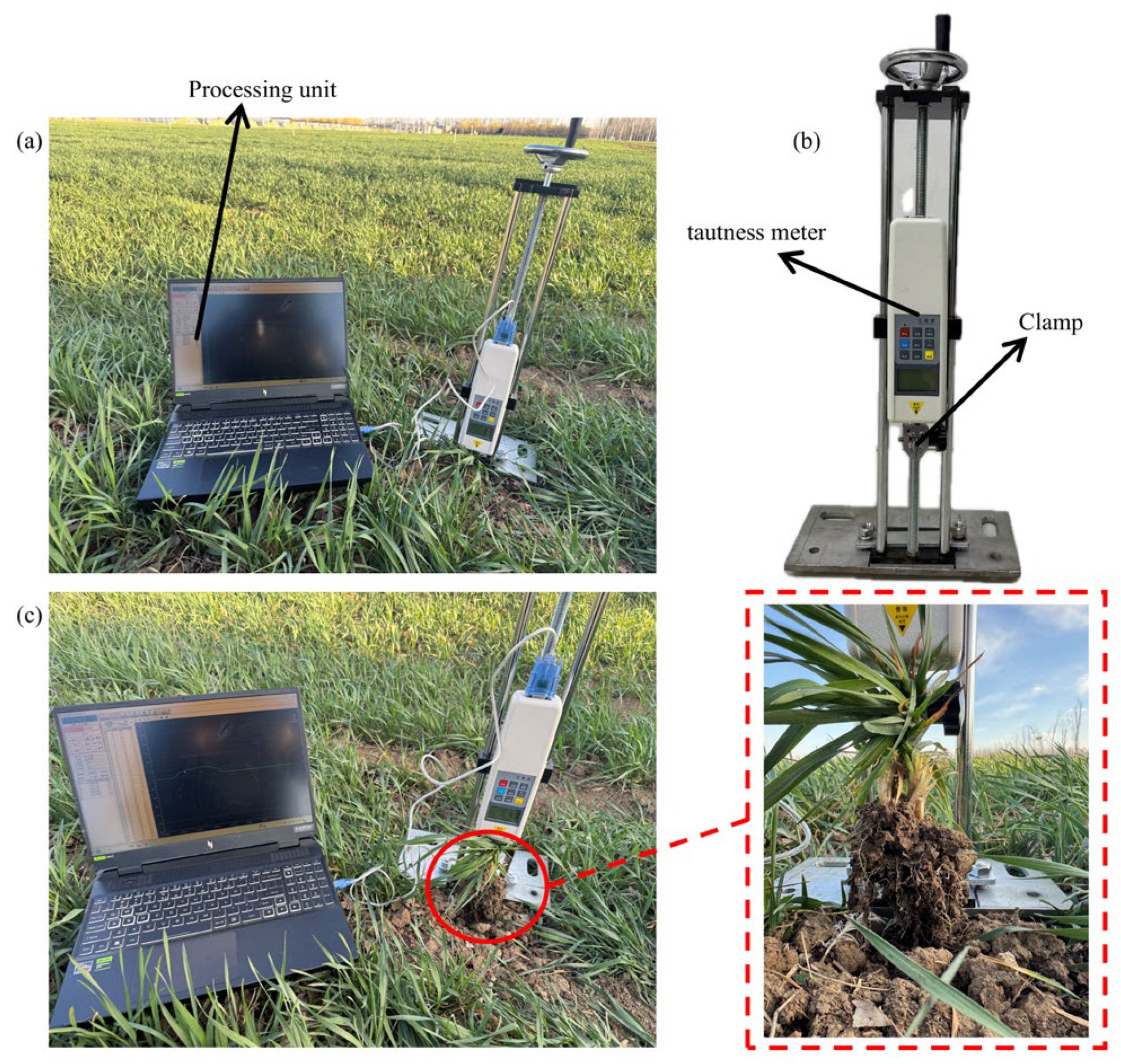Agriculture 15 02427 g014