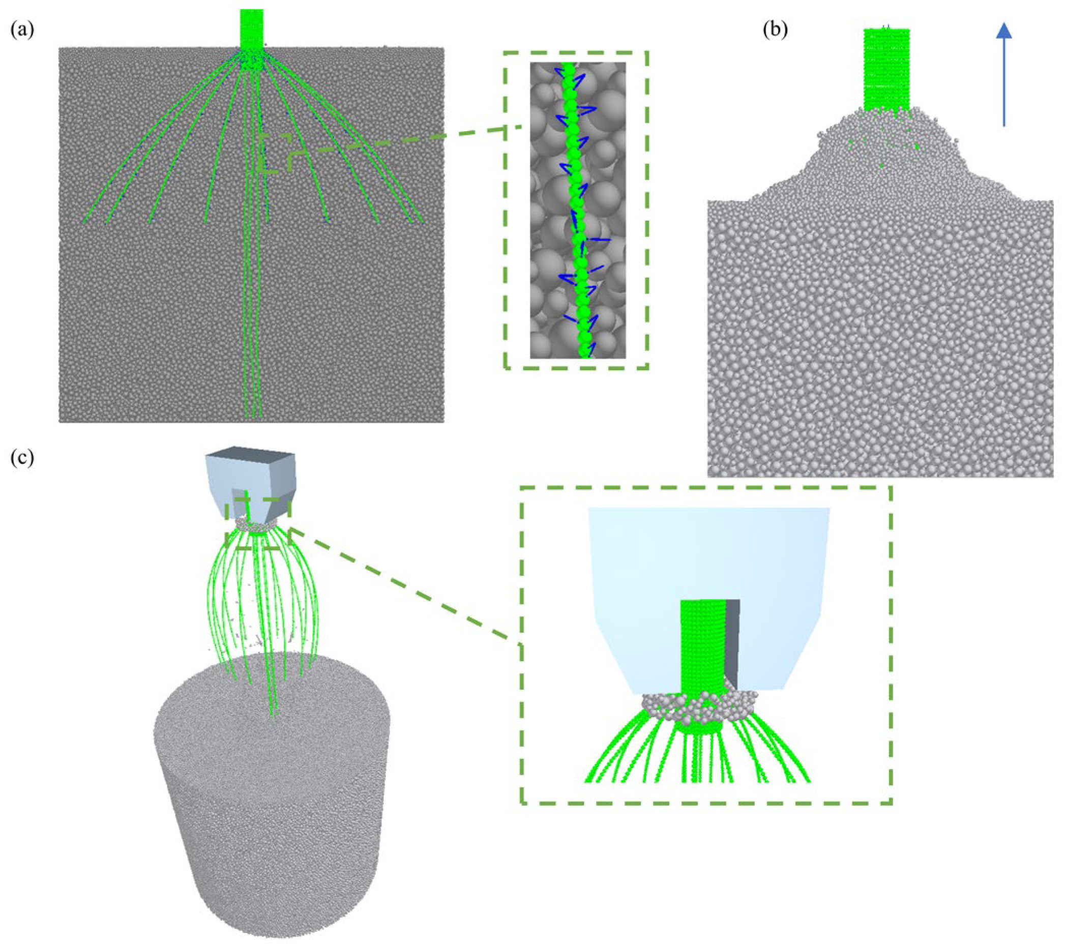 Agriculture 15 02427 g015