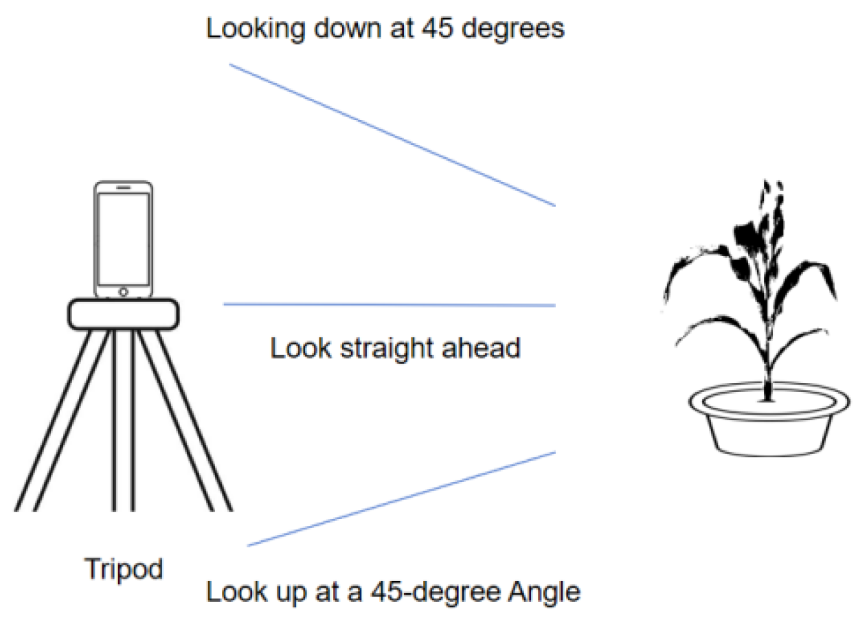 Agriculture 15 02430 g001