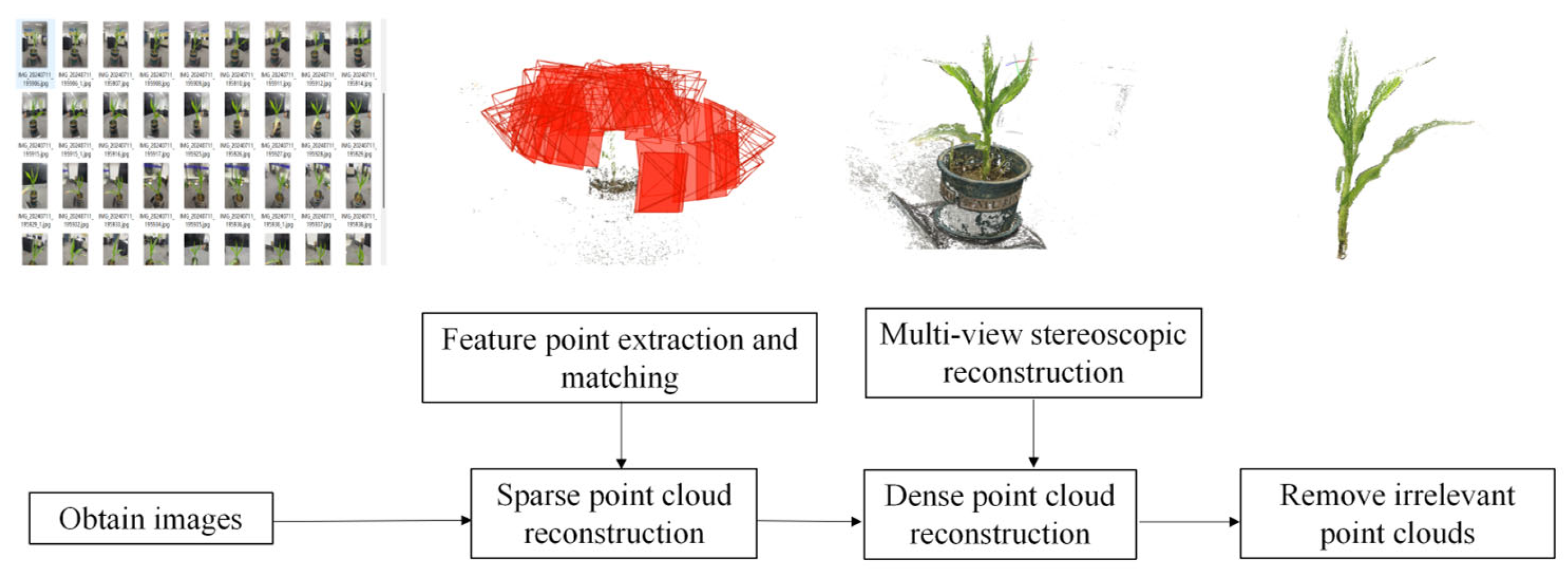 Agriculture 15 02430 g002