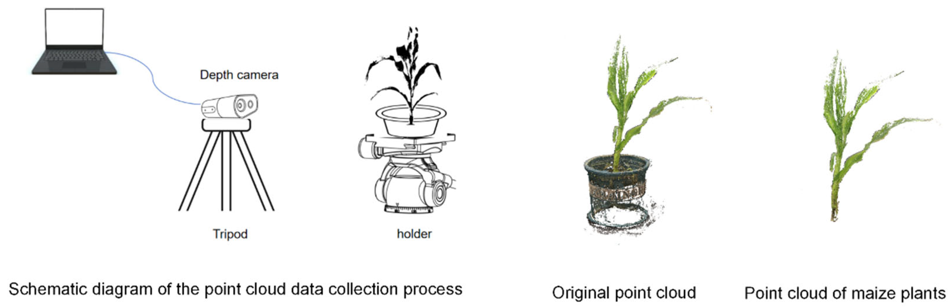 Agriculture 15 02430 g003