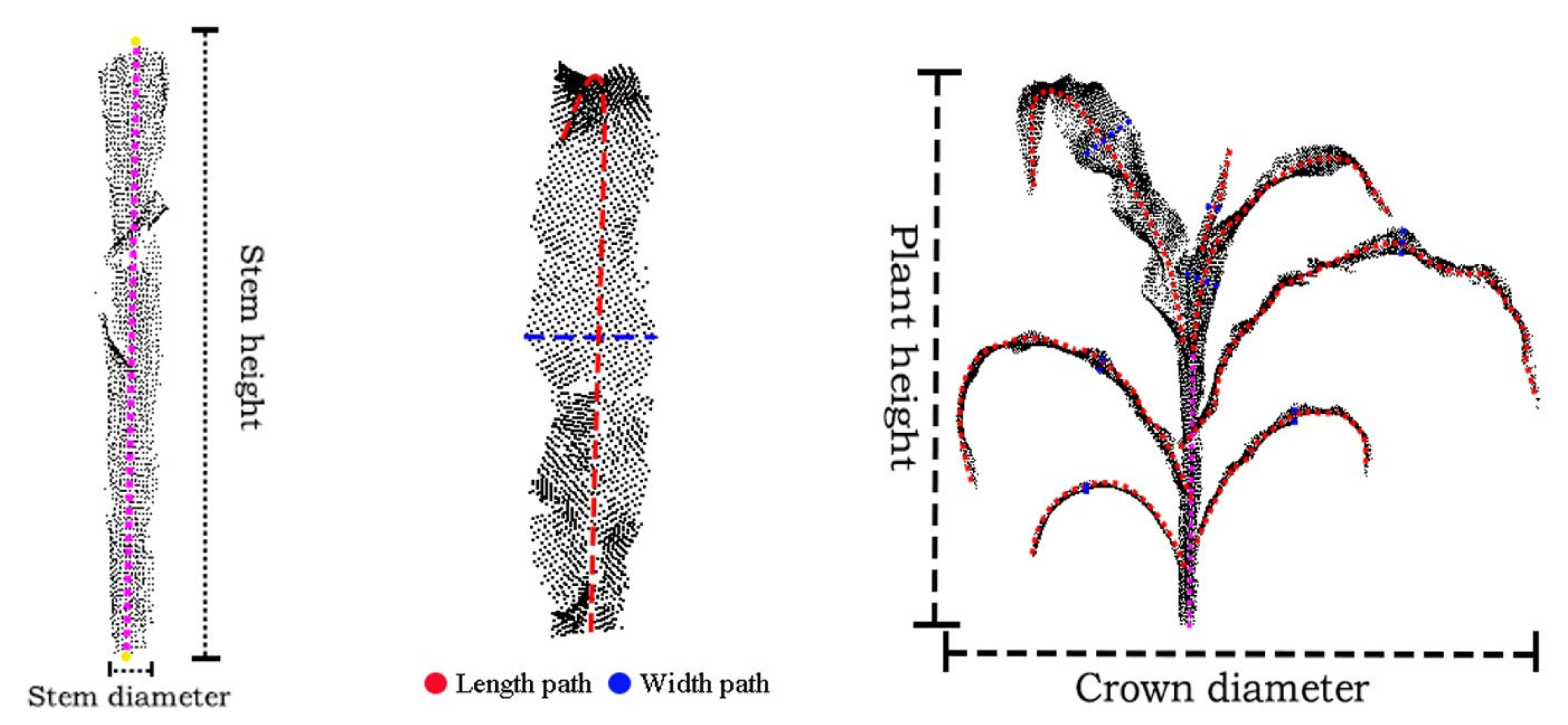 Agriculture 15 02430 g008