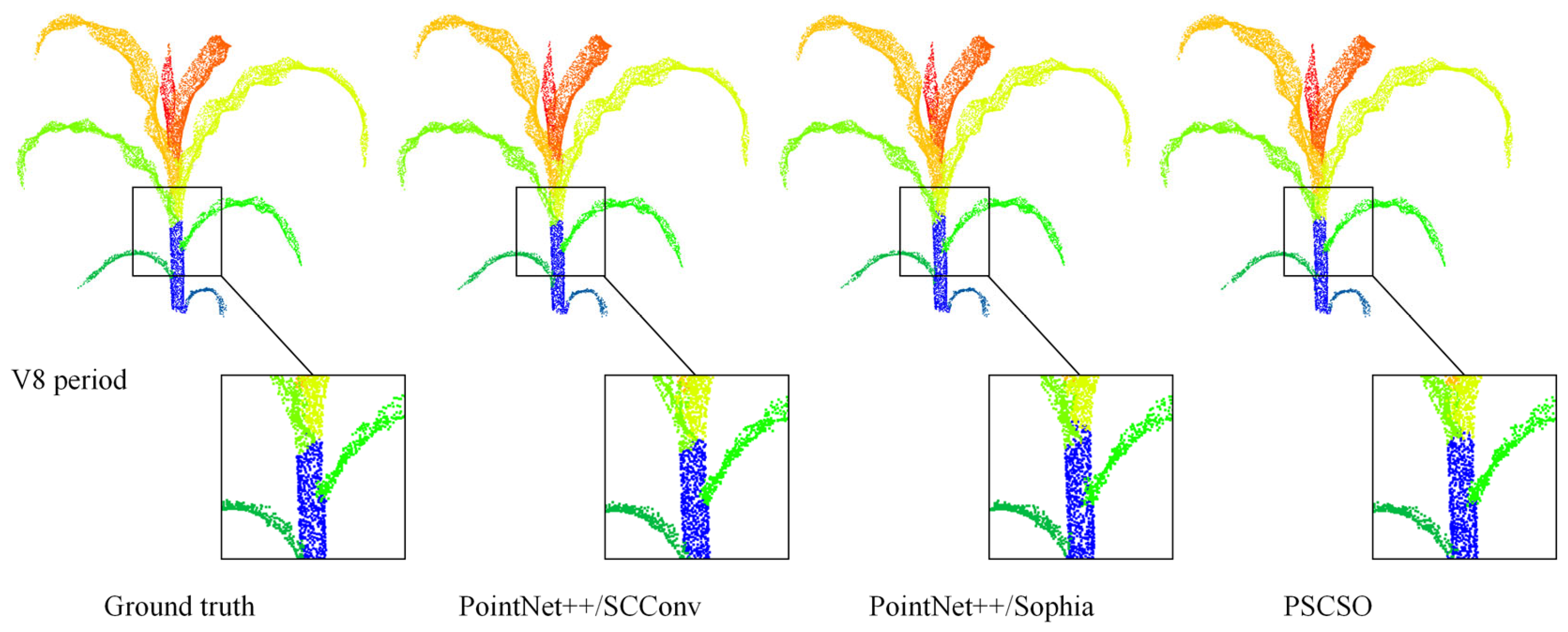 Agriculture 15 02430 g011c