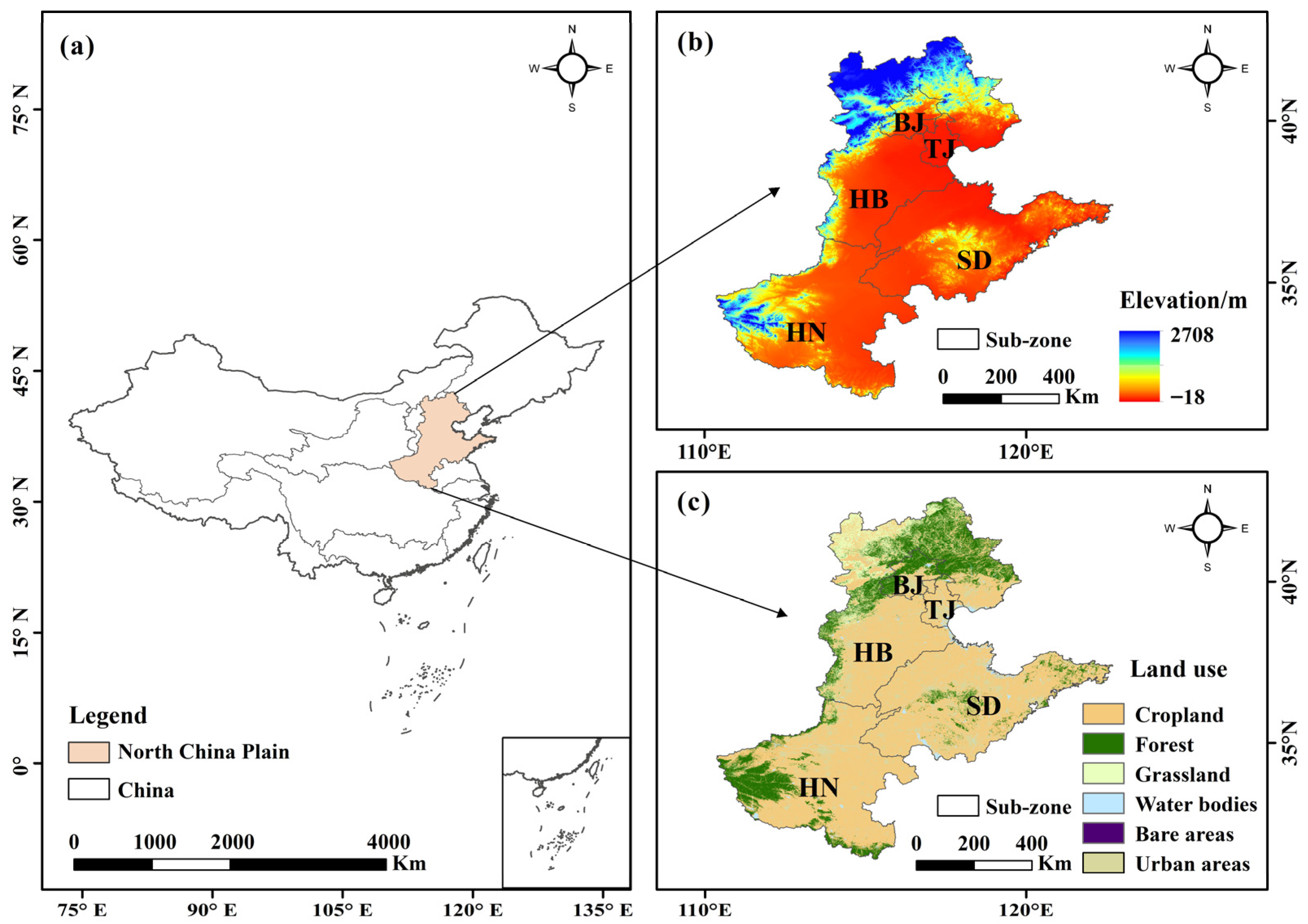 Agriculture 15 02431 g001
