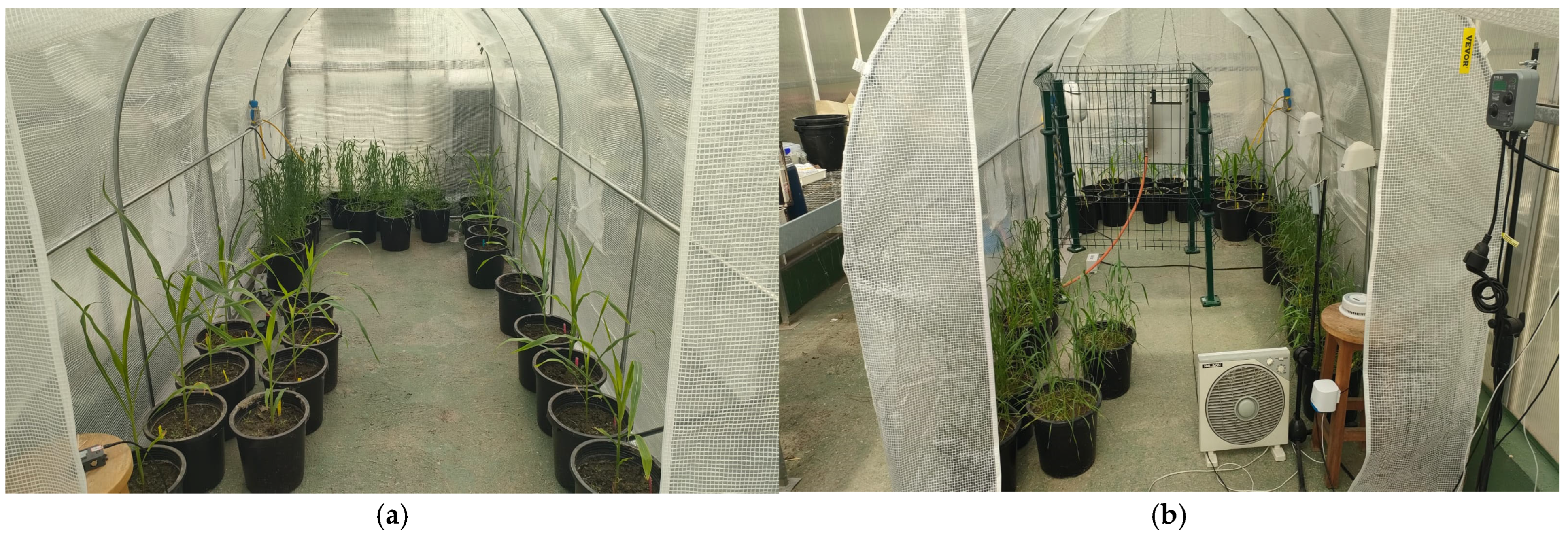 Agriculture 15 02435 g001