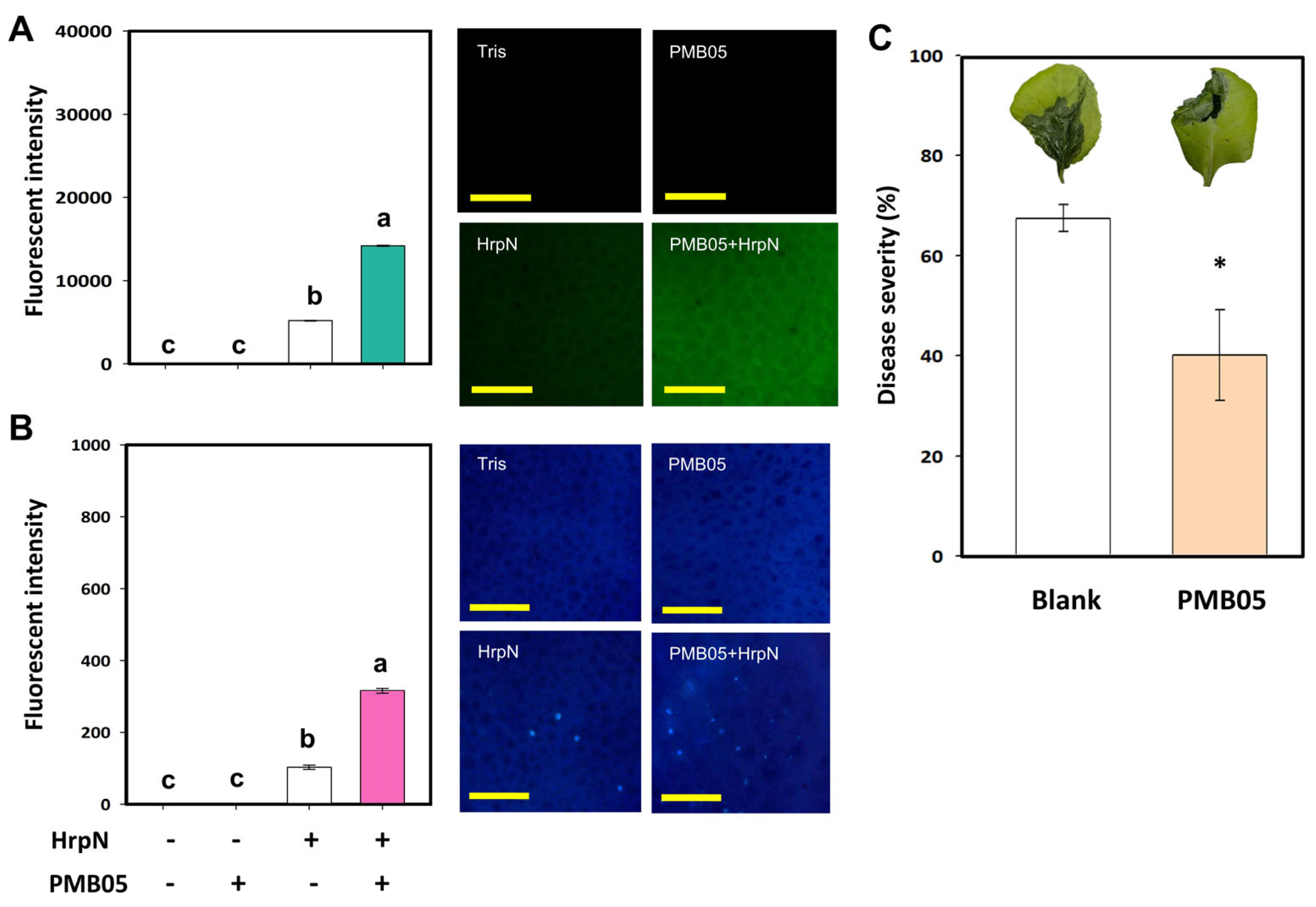 Agriculture 15 02436 g001