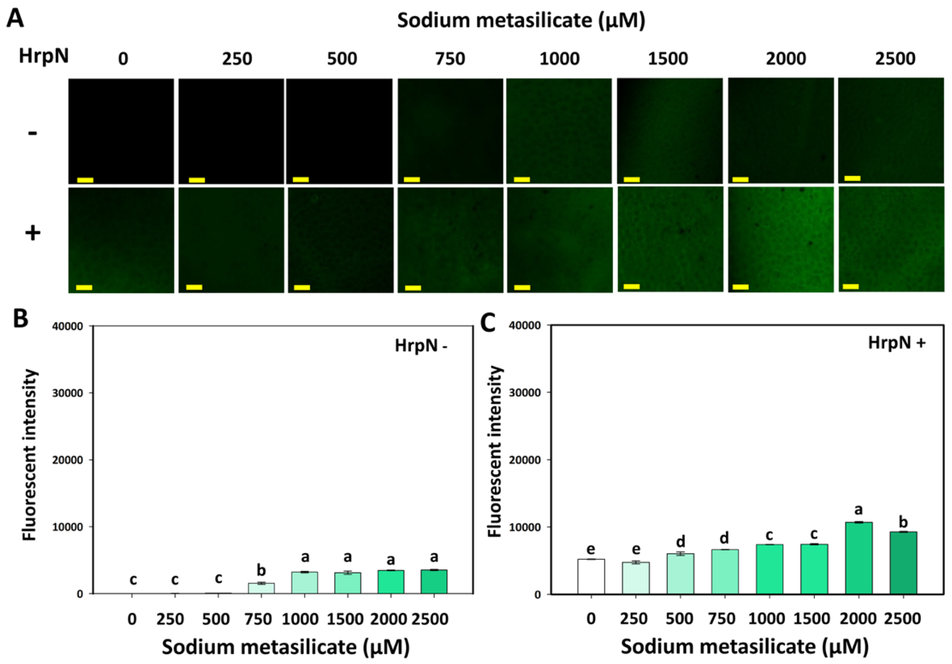 Agriculture 15 02436 g002