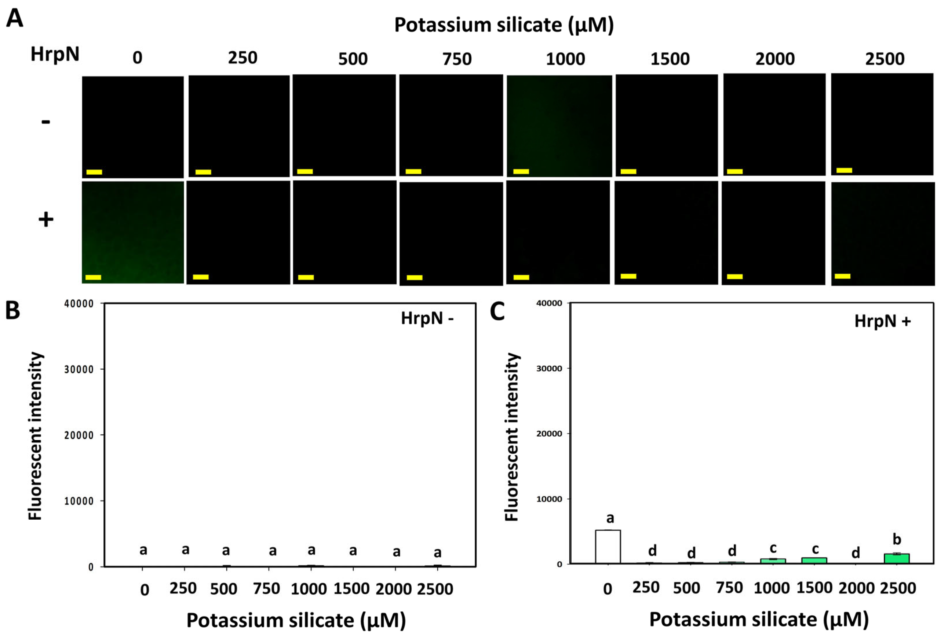 Agriculture 15 02436 g003