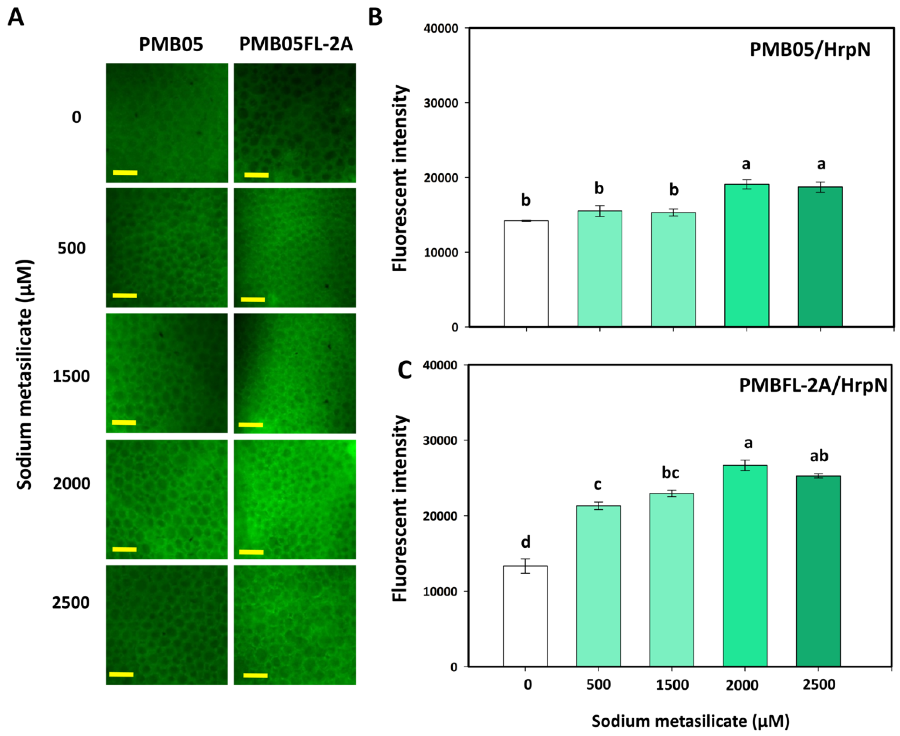 Agriculture 15 02436 g004
