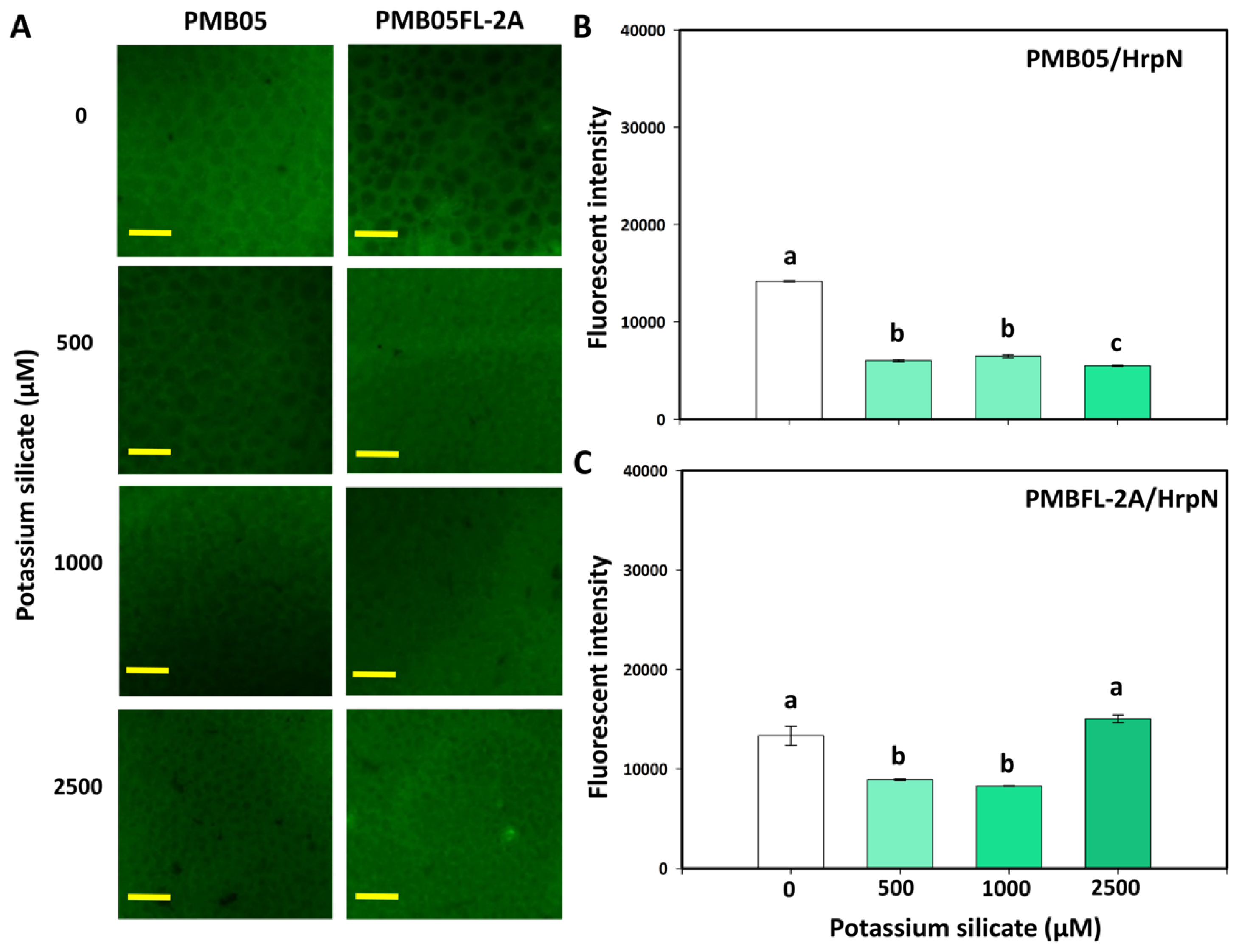 Agriculture 15 02436 g006