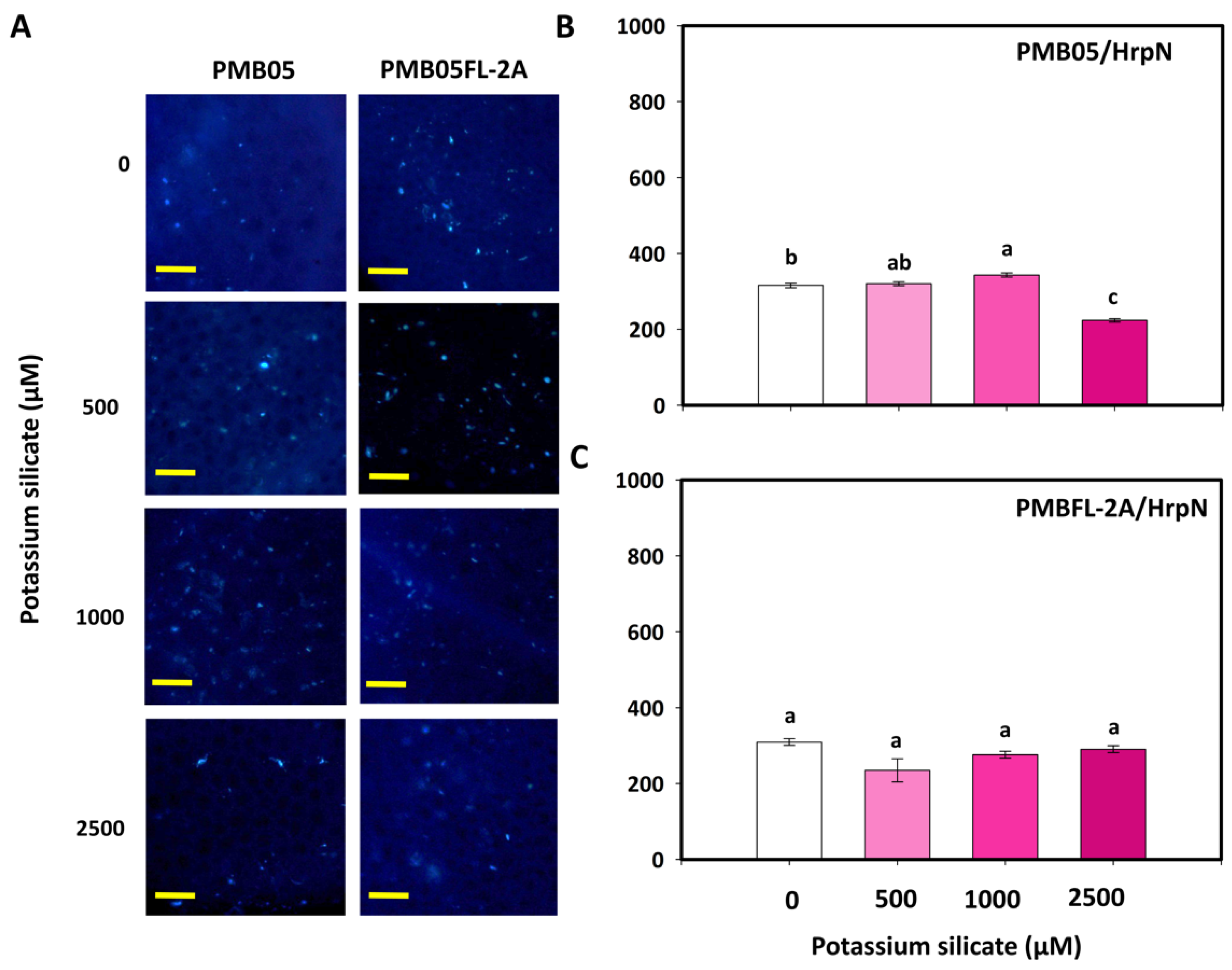 Agriculture 15 02436 g007