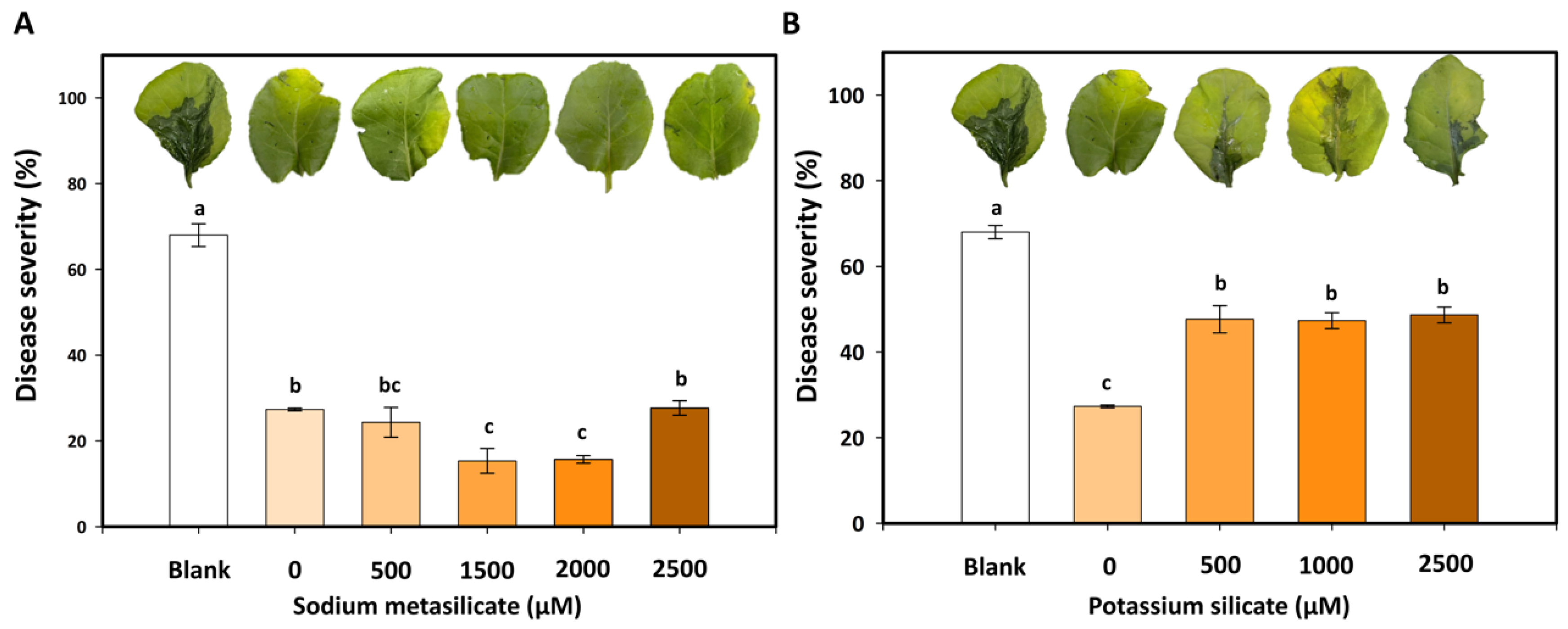 Agriculture 15 02436 g008