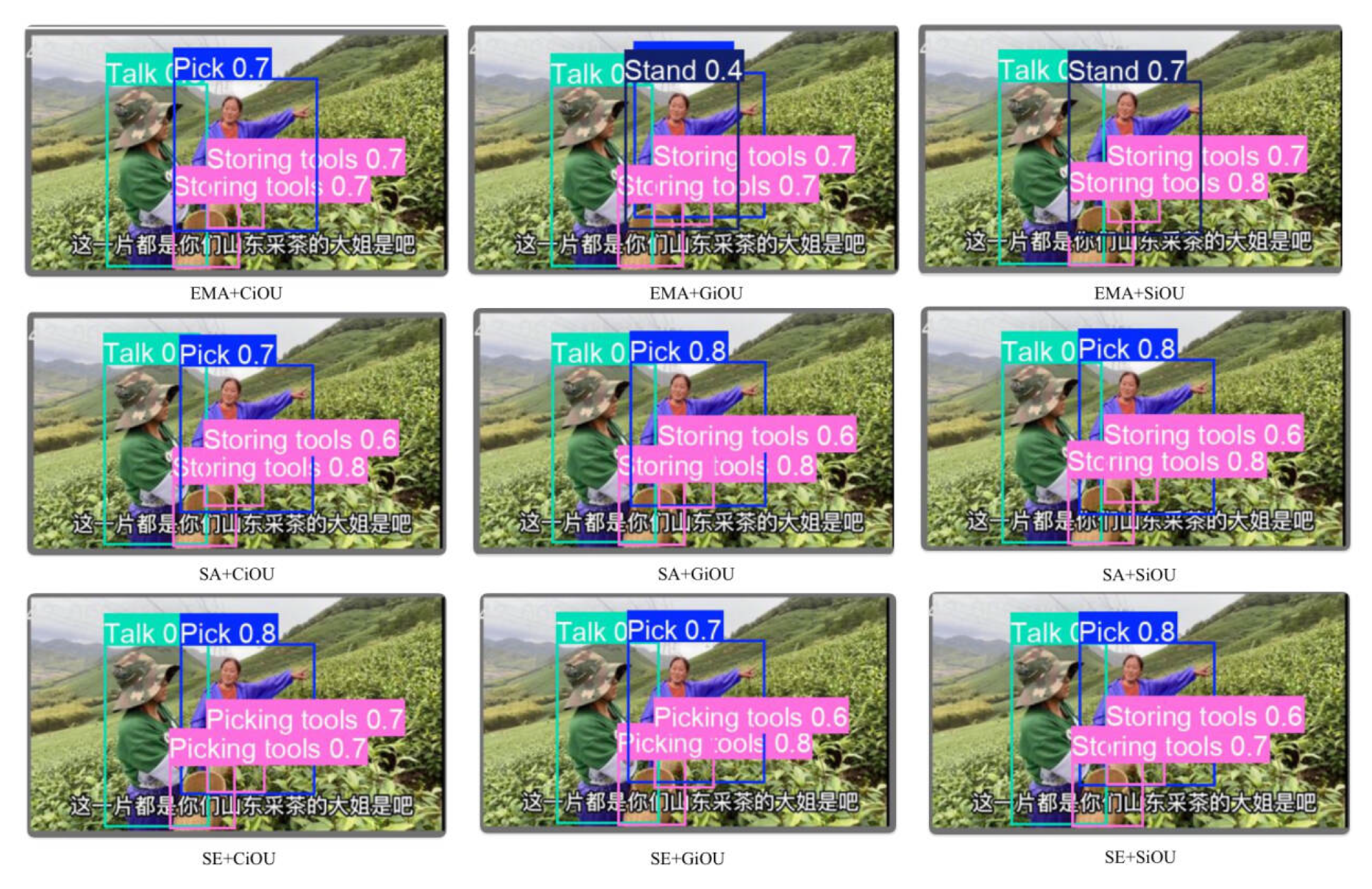 Agriculture 15 02441 g008