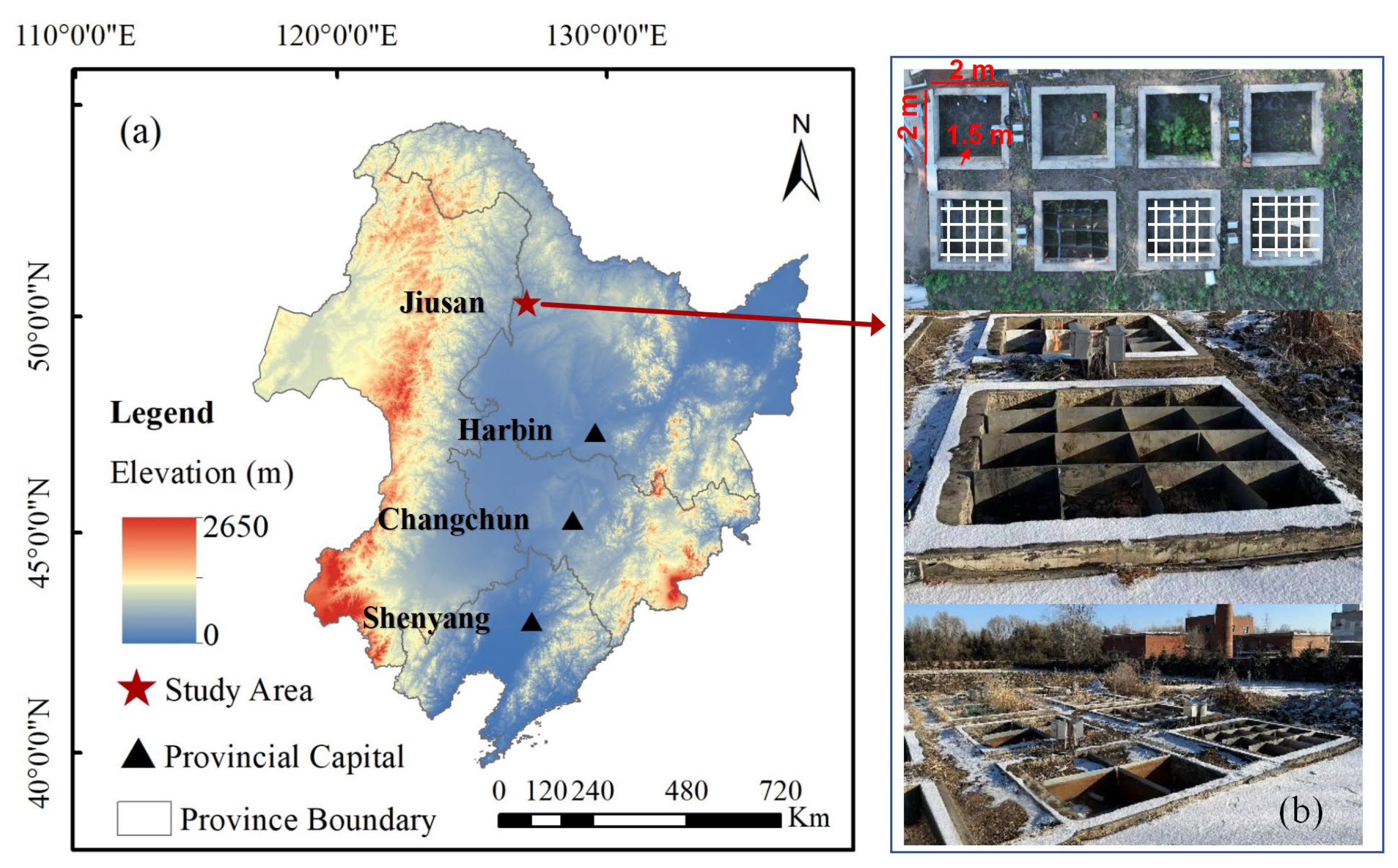 Agriculture 15 02448 g001