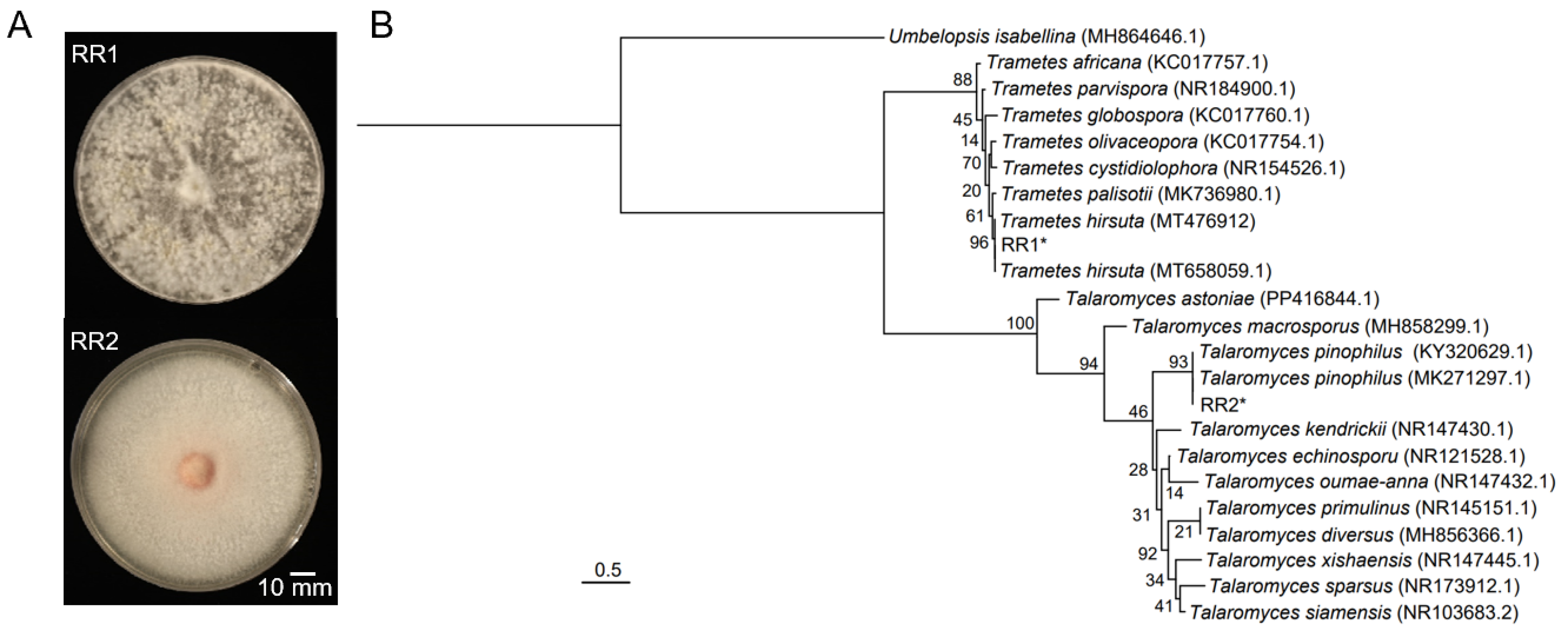 Agriculture 15 02451 g001 Agriculture 15 02451 g001