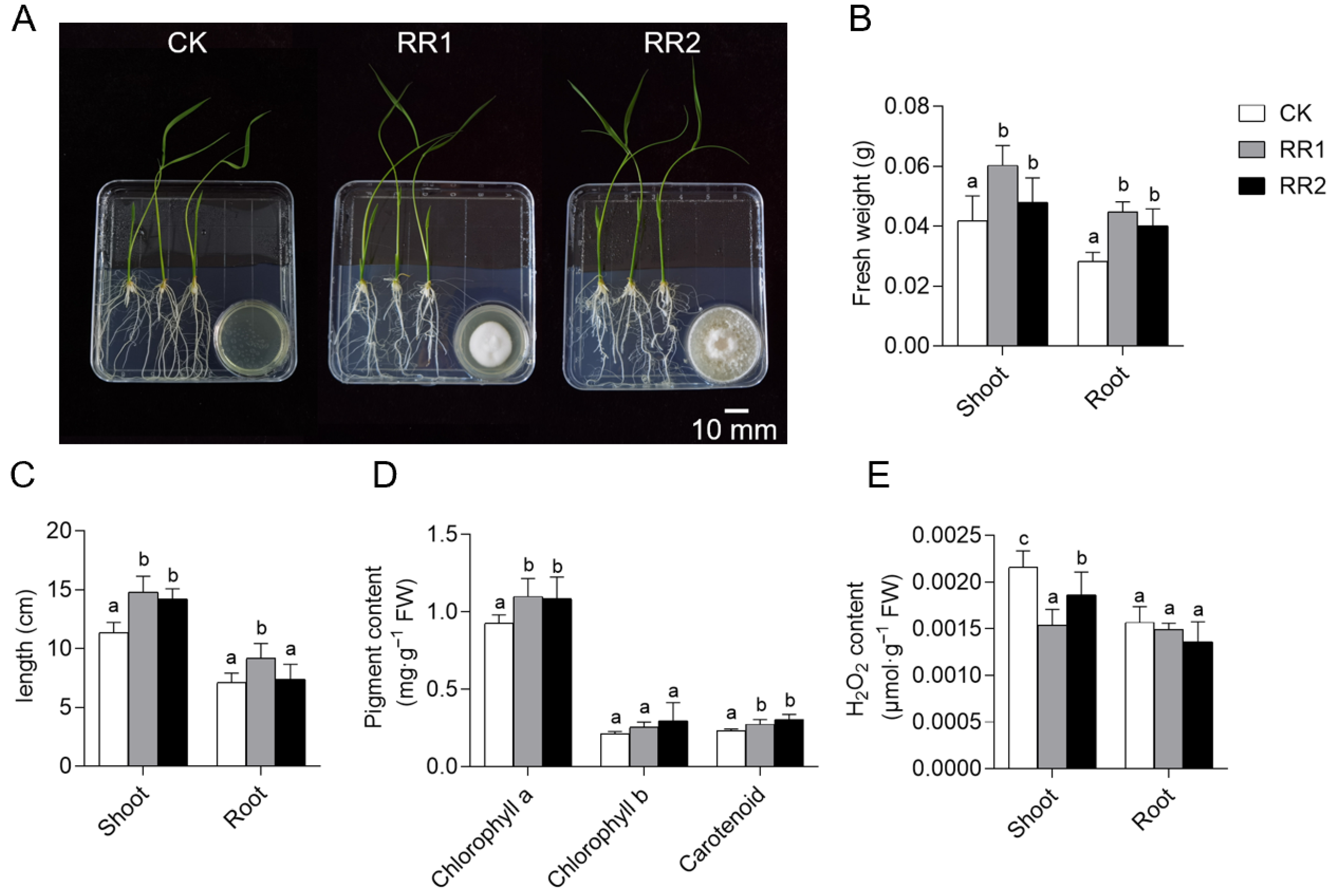 Agriculture 15 02451 g002 Agriculture 15 02451 g002