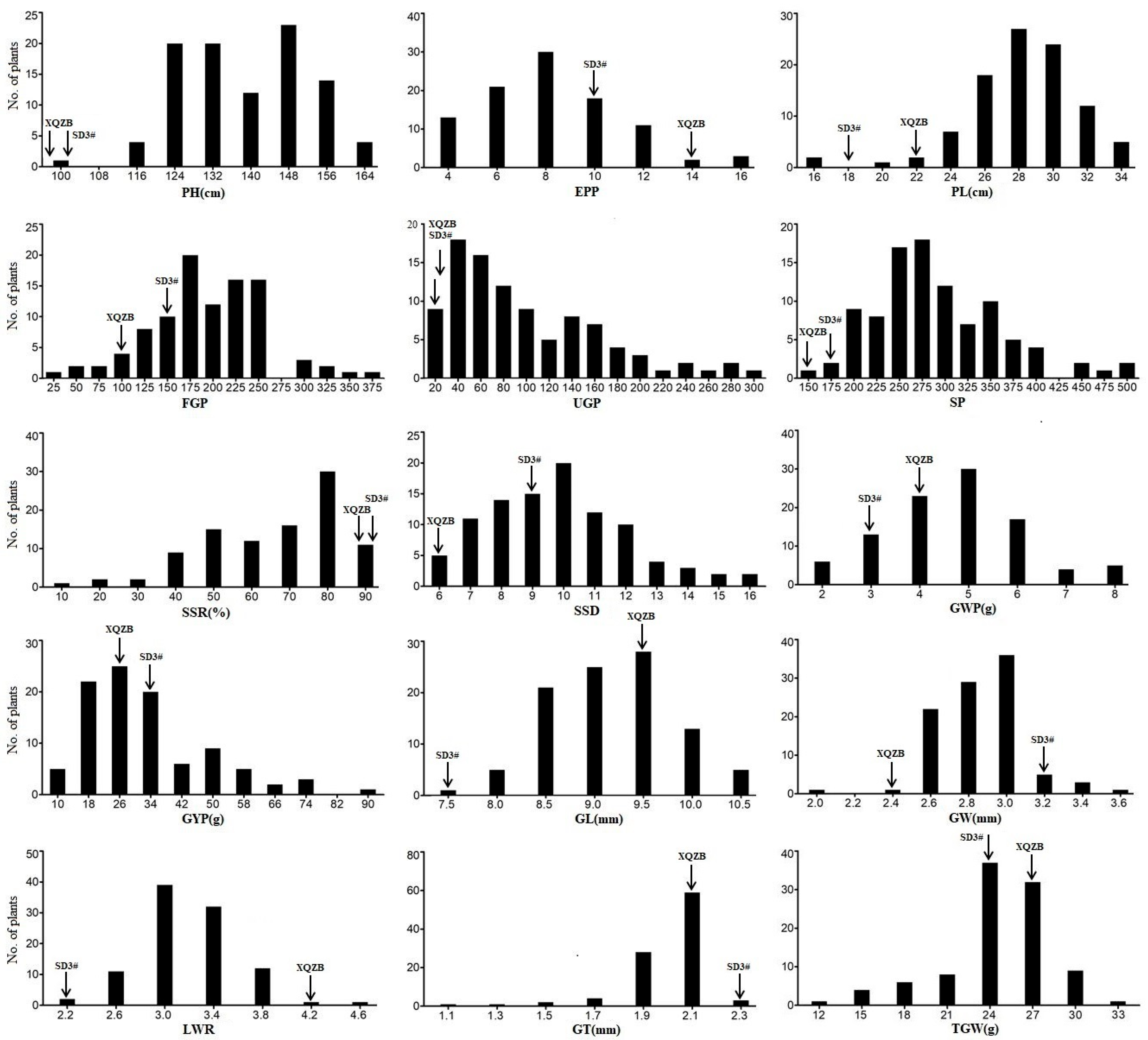 Agriculture 15 02453 g003