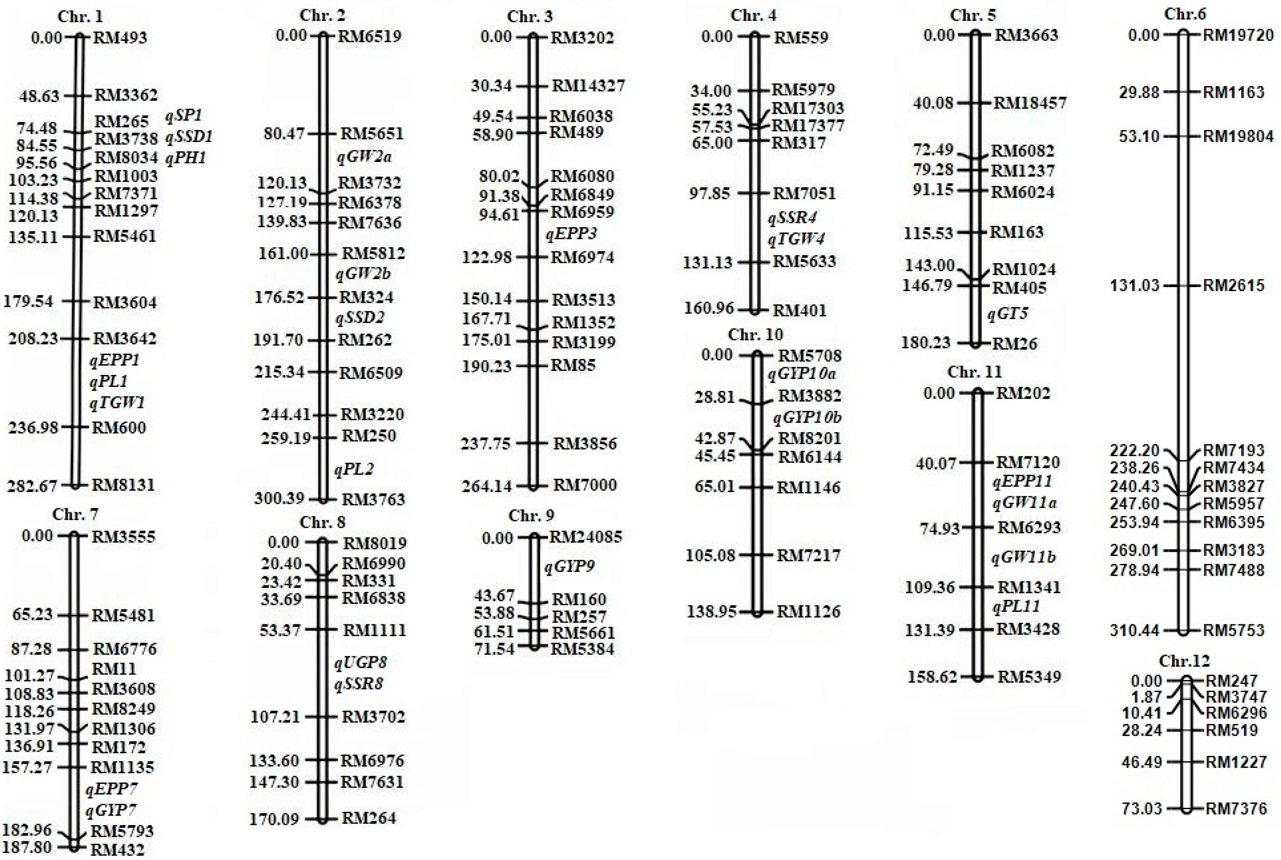 Agriculture 15 02453 g005