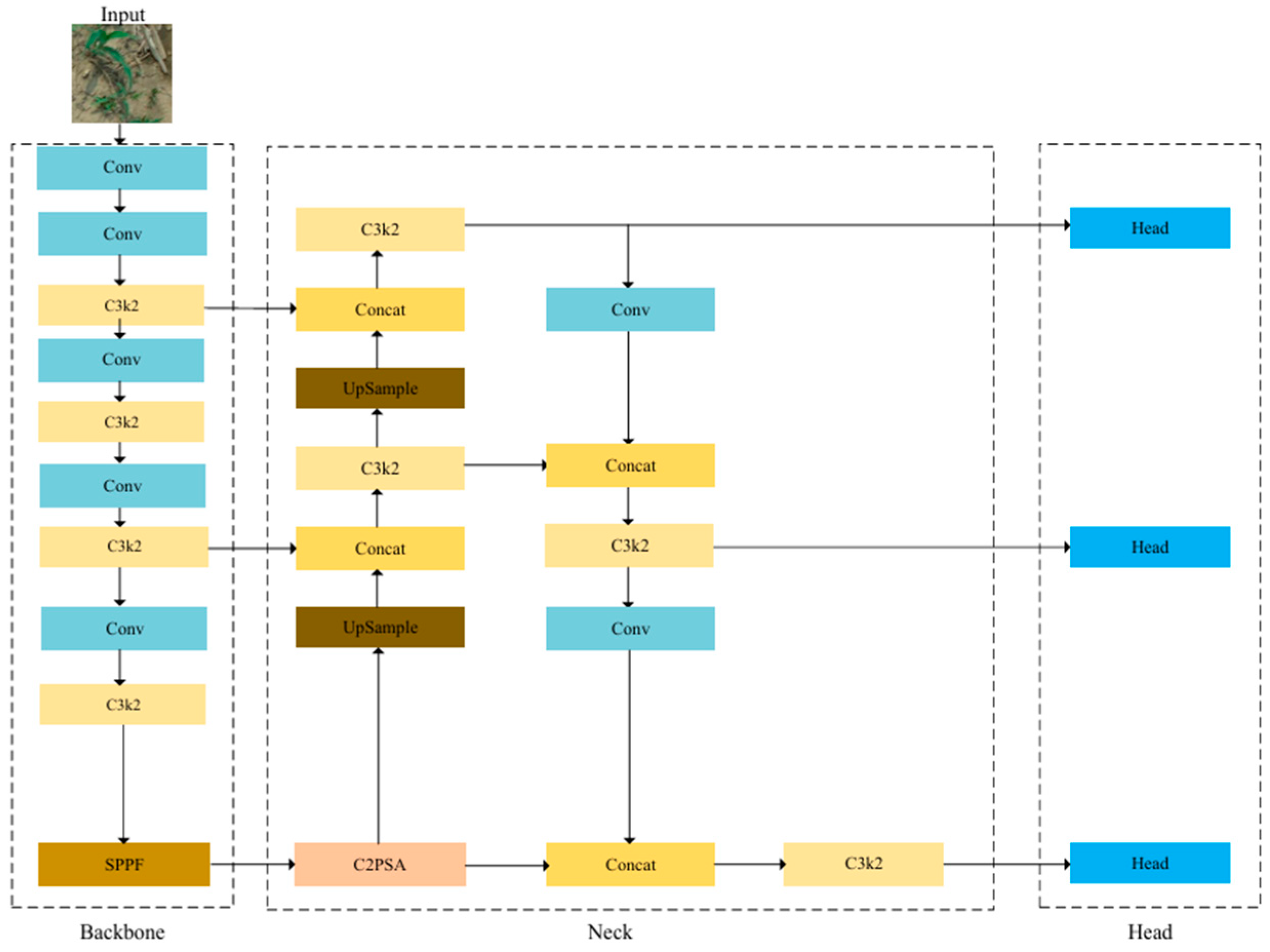 Agriculture 15 02456 g001