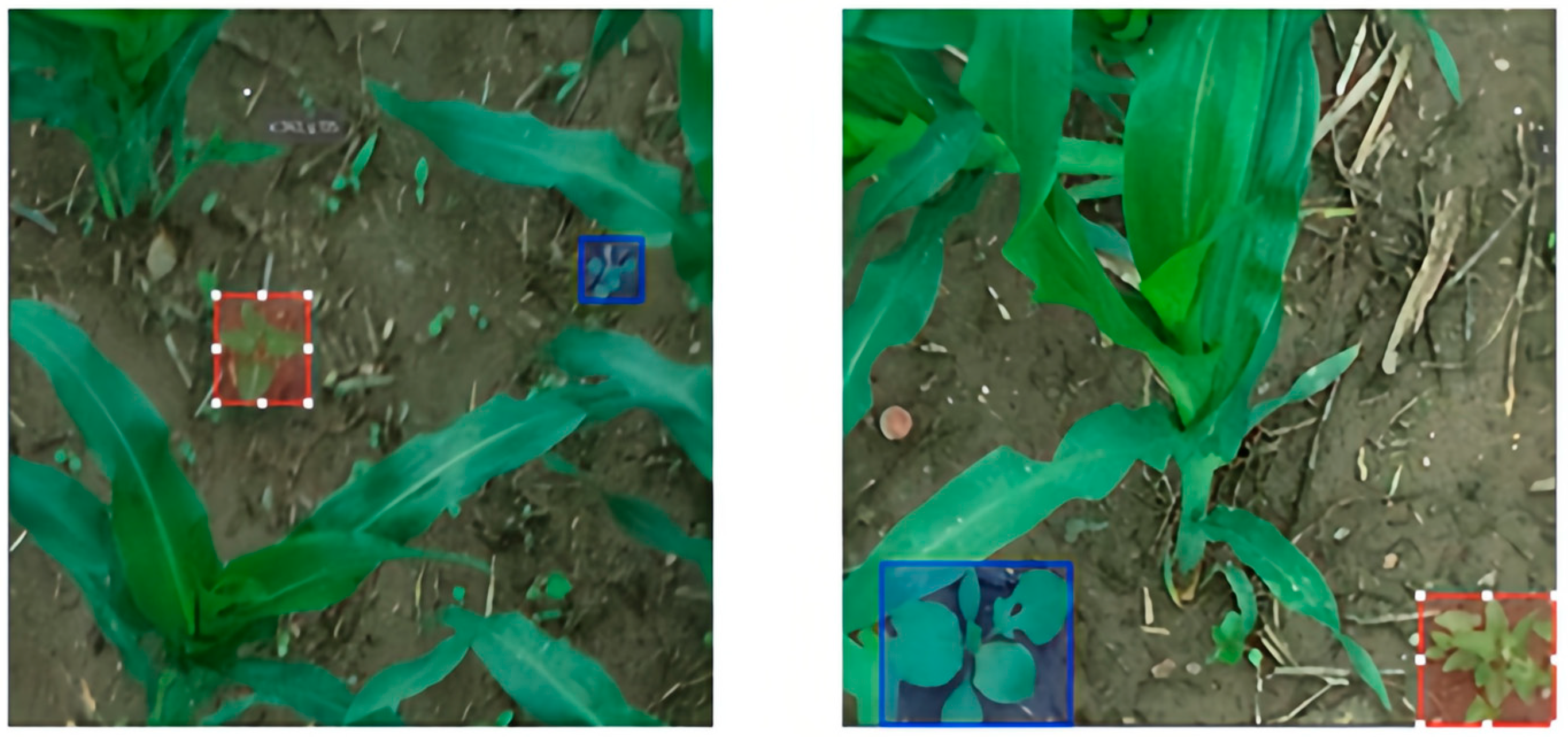 Agriculture 15 02456 g007