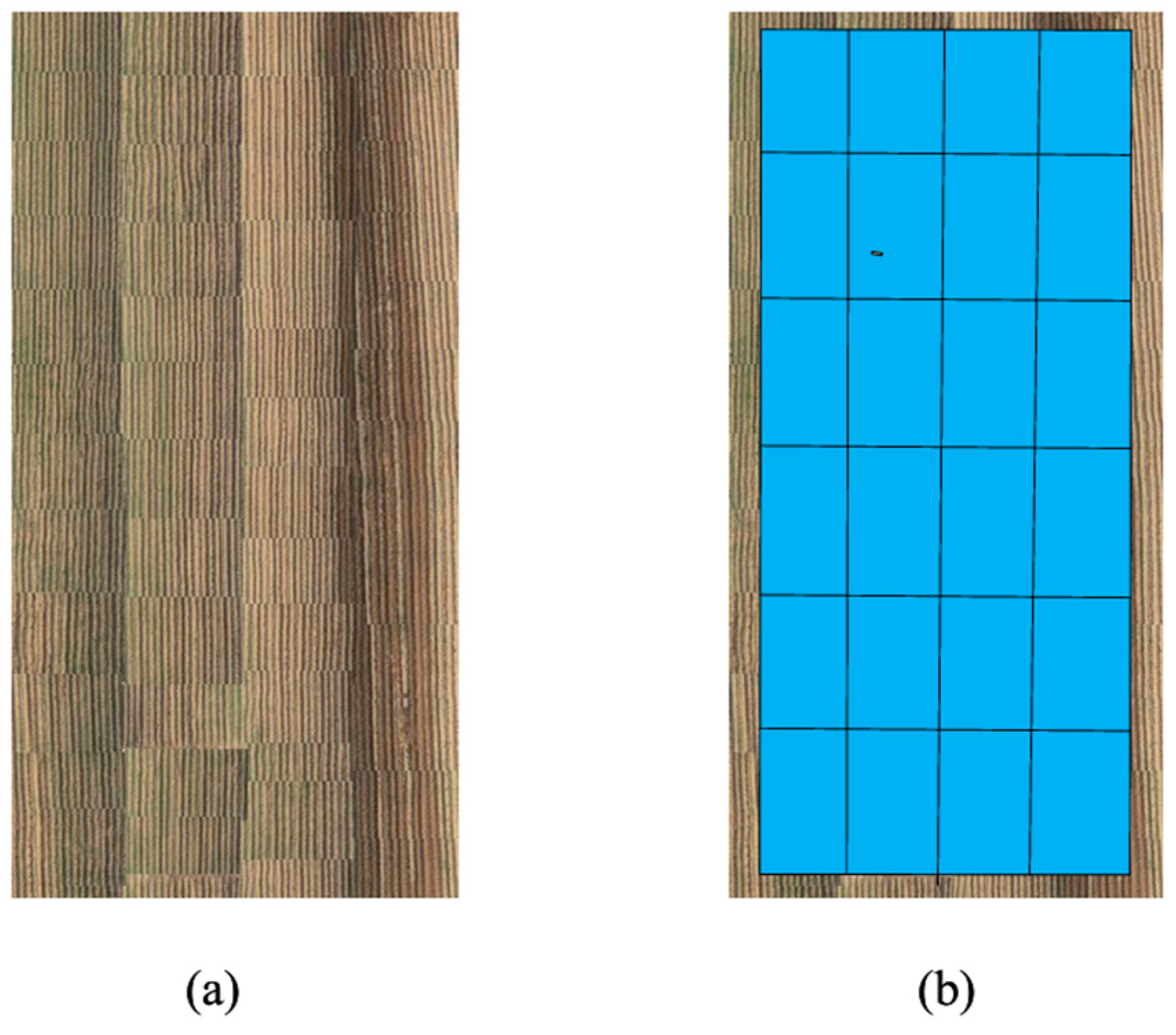 Agriculture 15 02456 g008