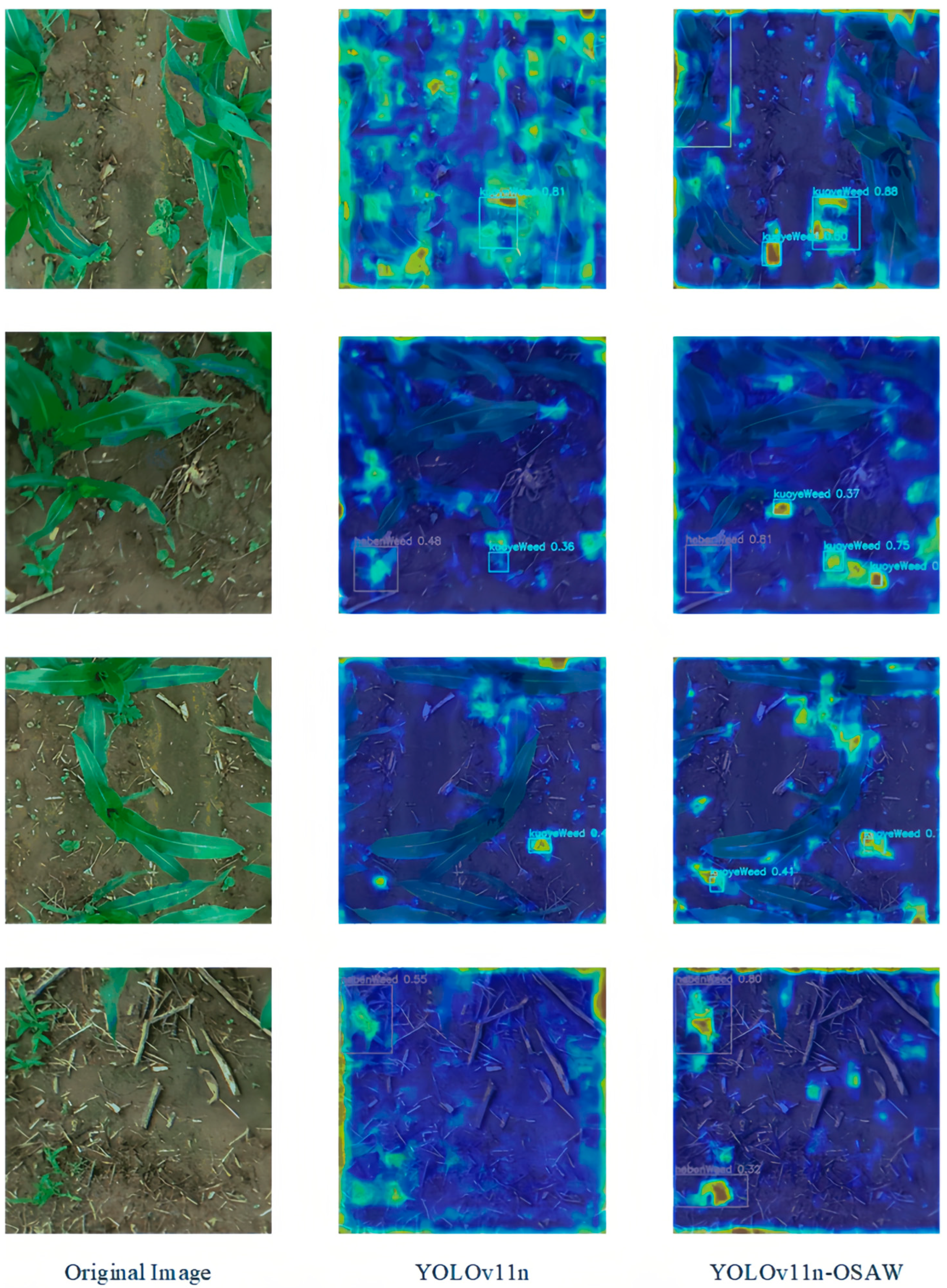 Agriculture 15 02456 g012