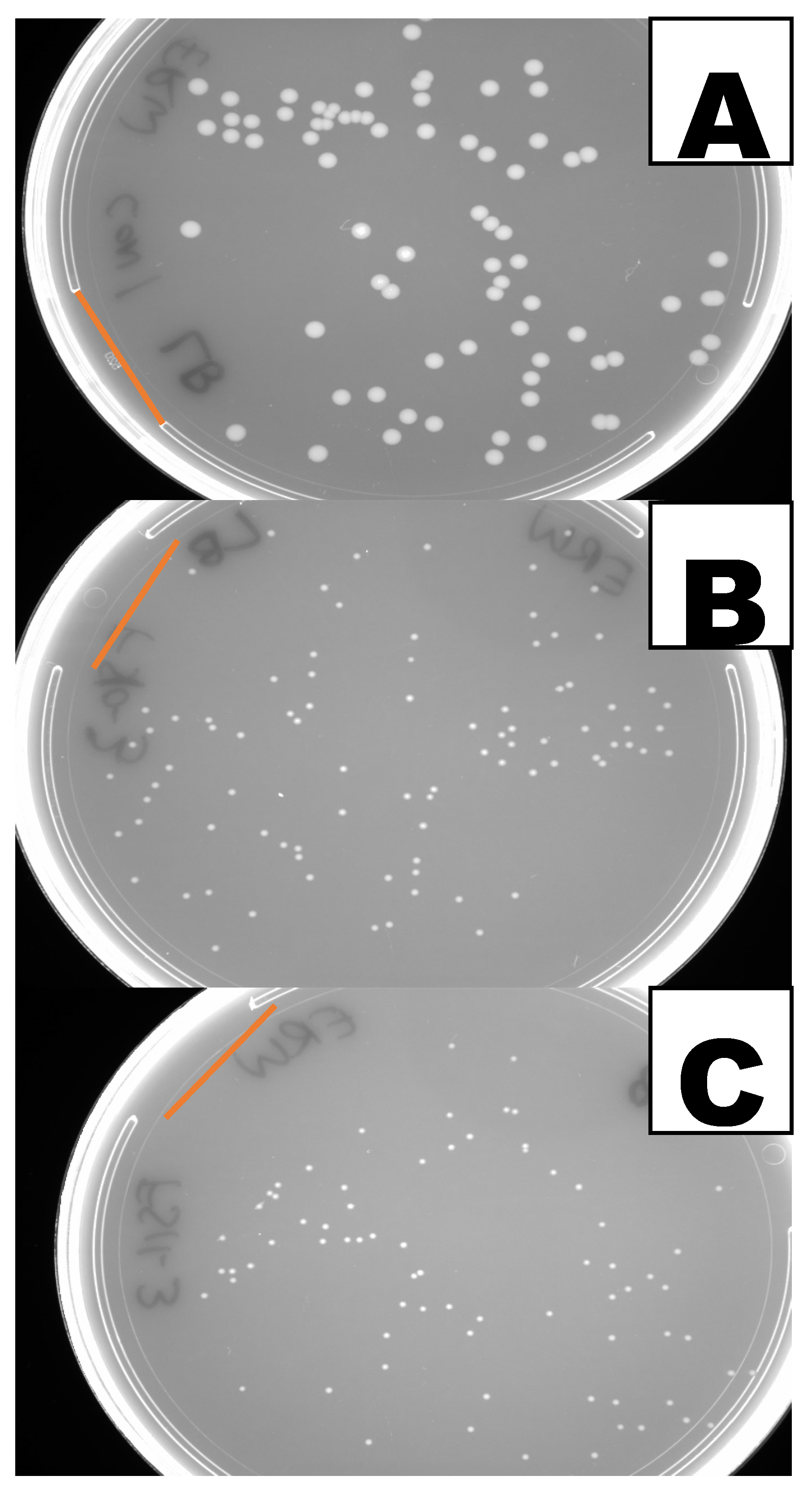 Agriculture 15 02465 g004 Agriculture 15 02465 g004