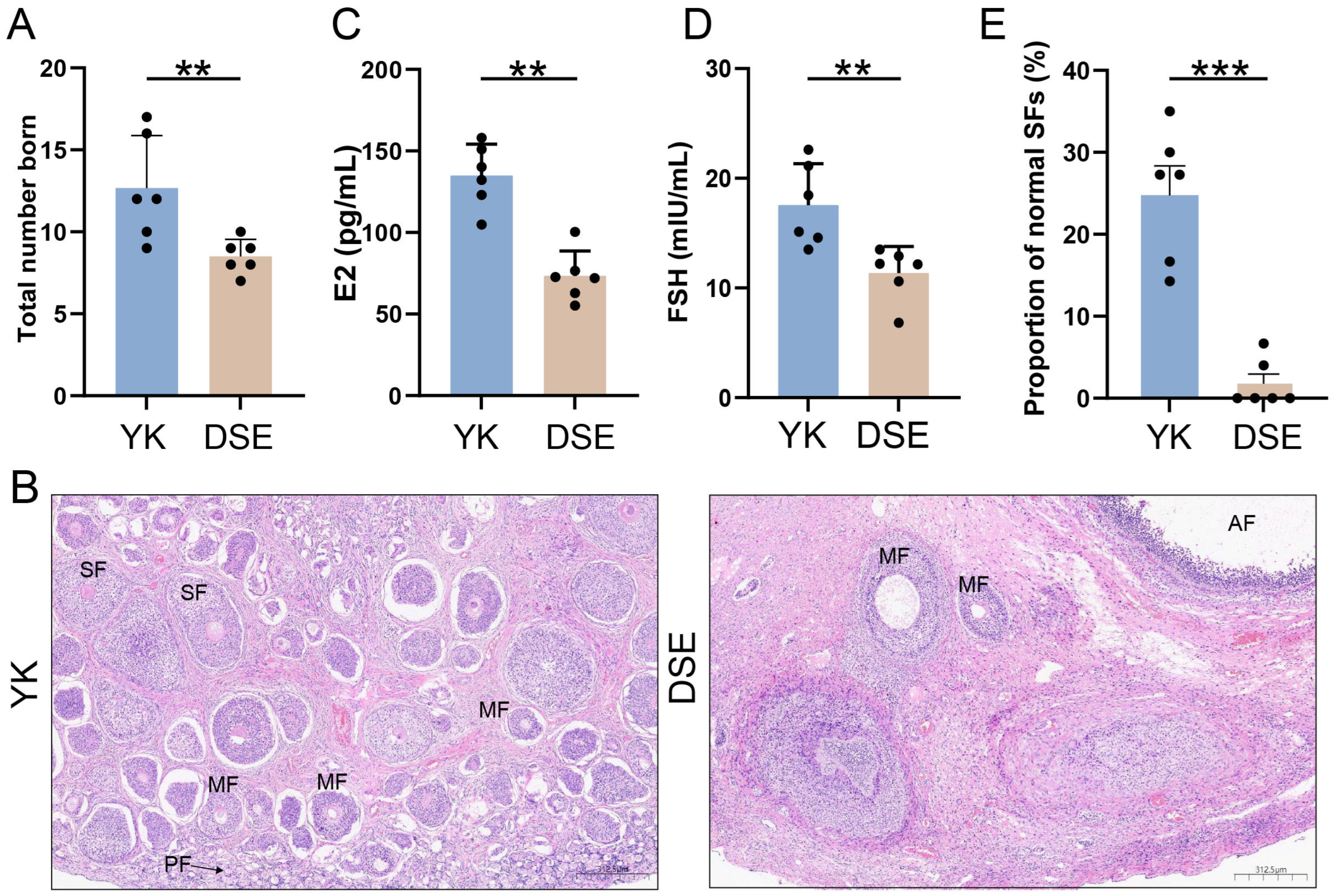 Agriculture 15 02471 g001 Agriculture 15 02471 g001