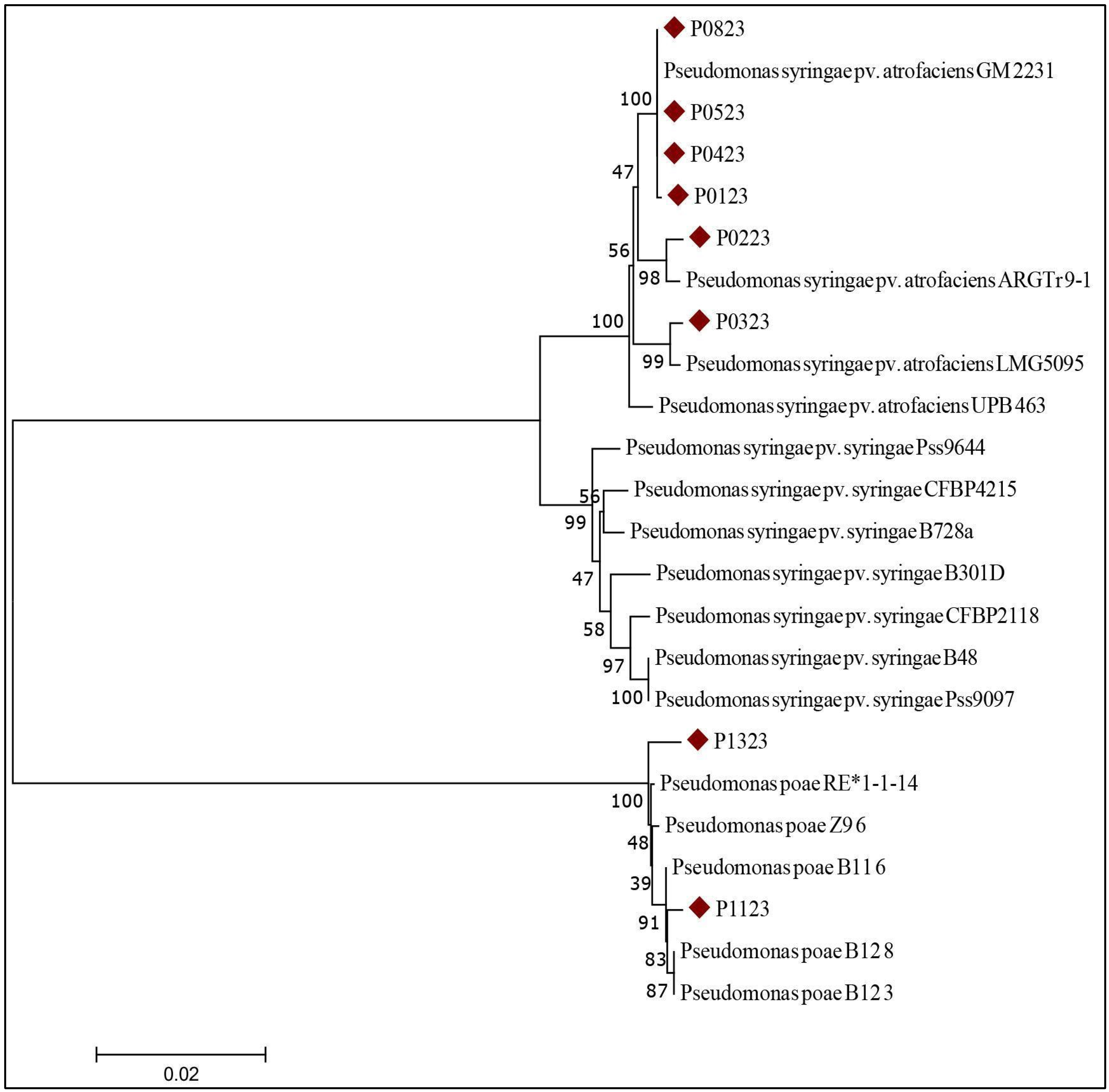 Agriculture 15 02473 g006 Agriculture 15 02473 g006