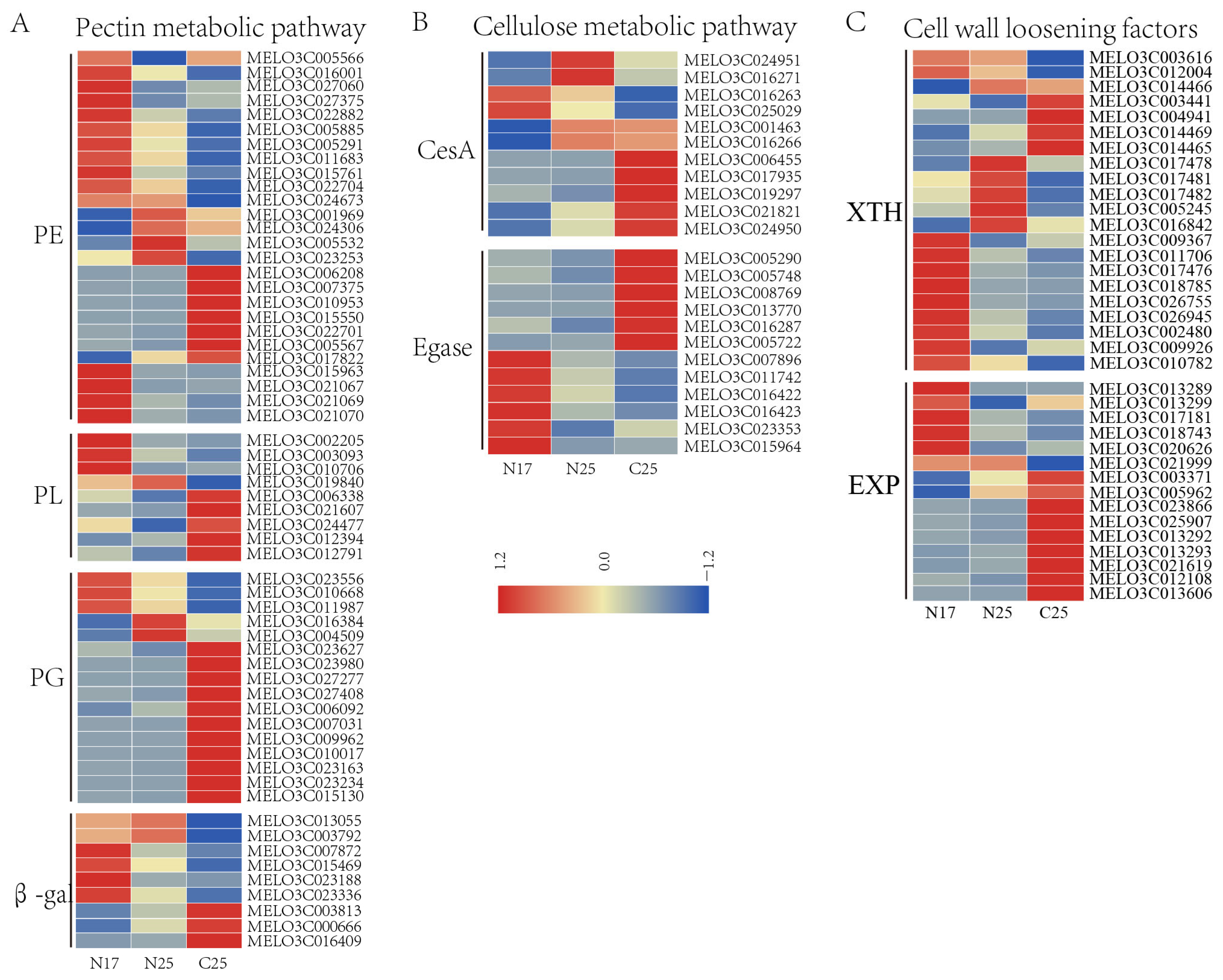 Agriculture 15 02475 g008