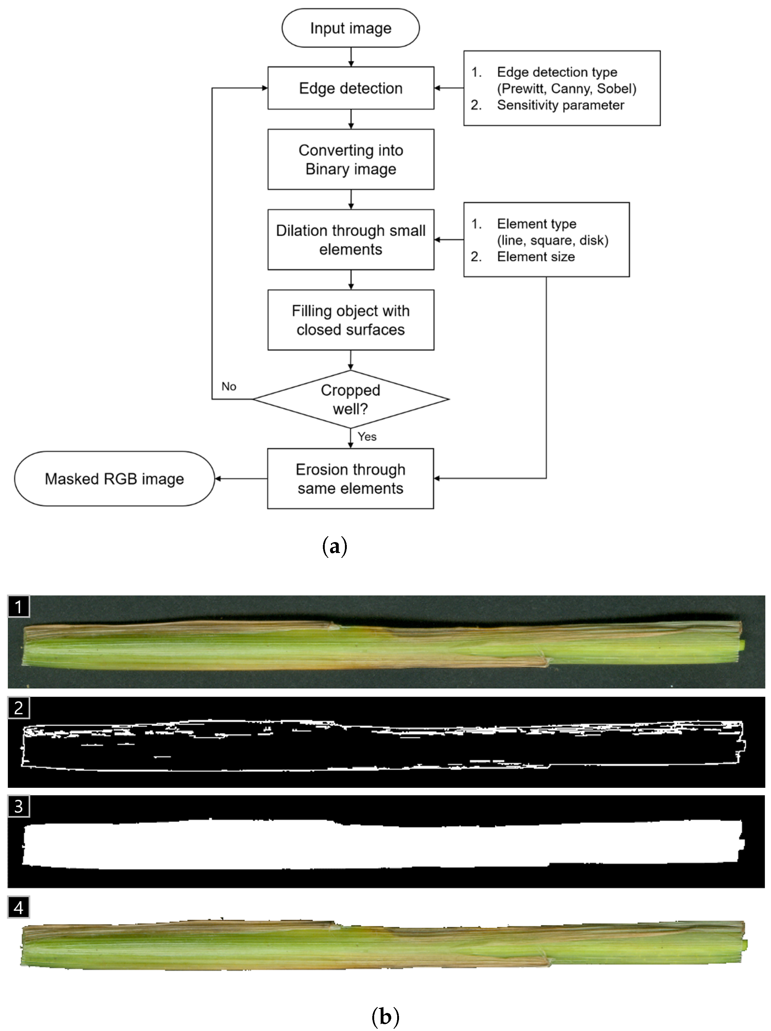 Agriculture 15 02478 g002 Agriculture 15 02478 g002