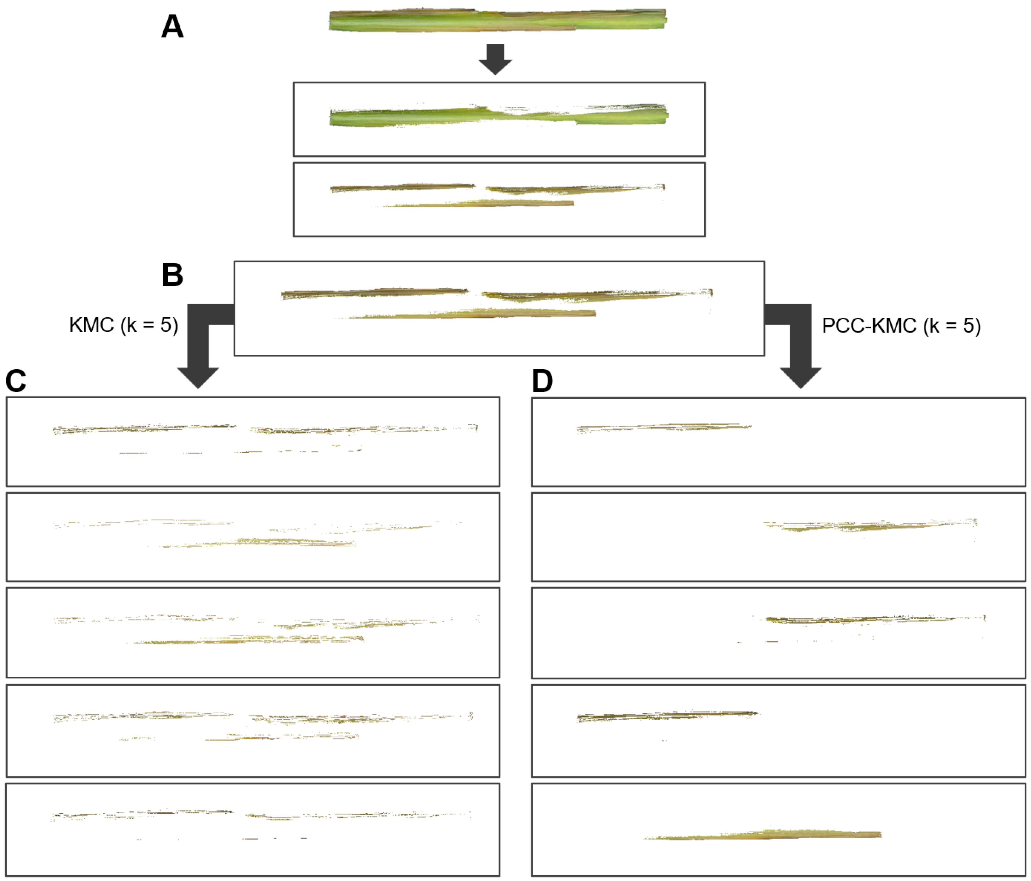 Agriculture 15 02478 g003 Agriculture 15 02478 g003