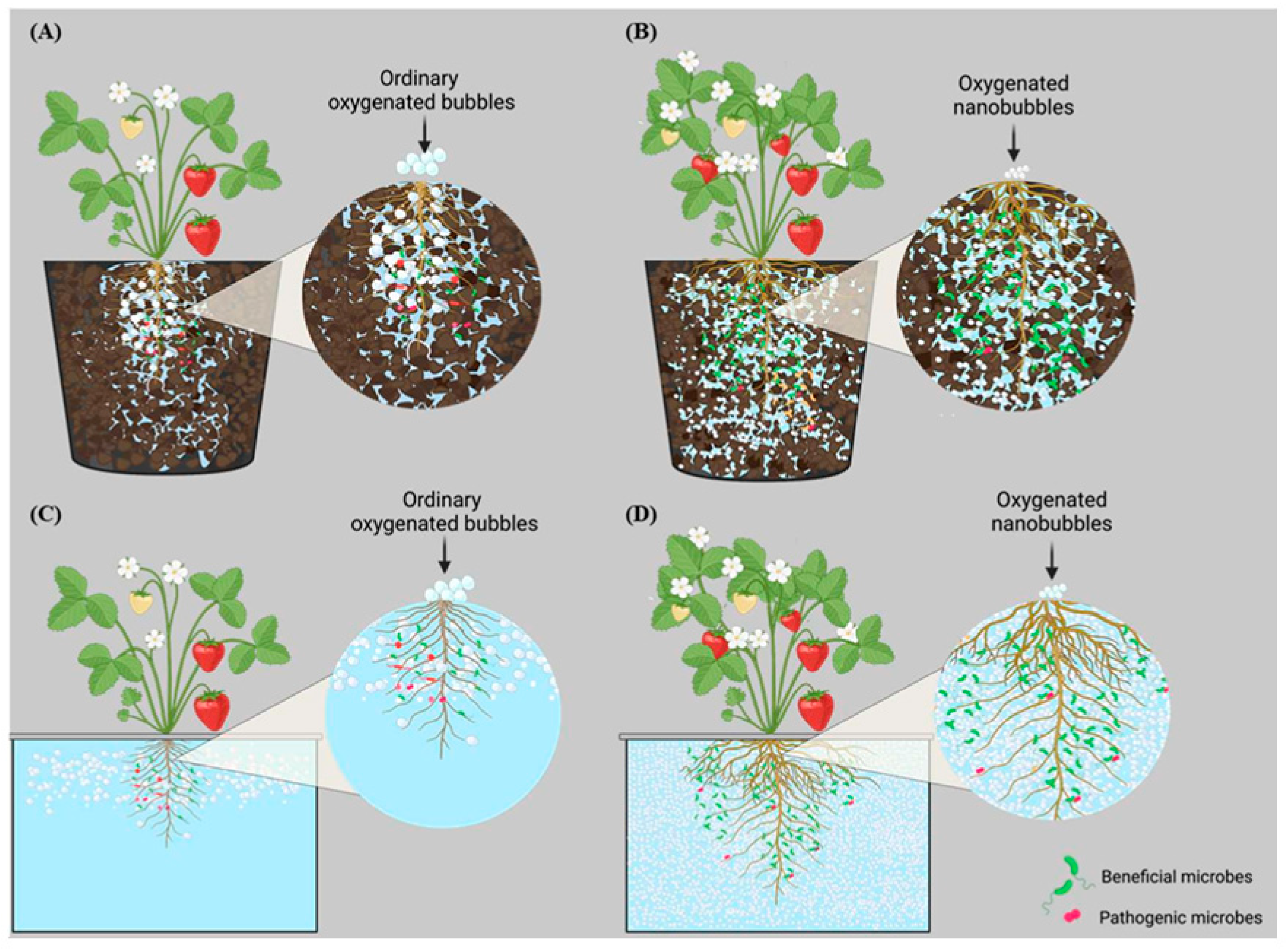 Agriculture 15 02484 g012 Agriculture 15 02484 g012