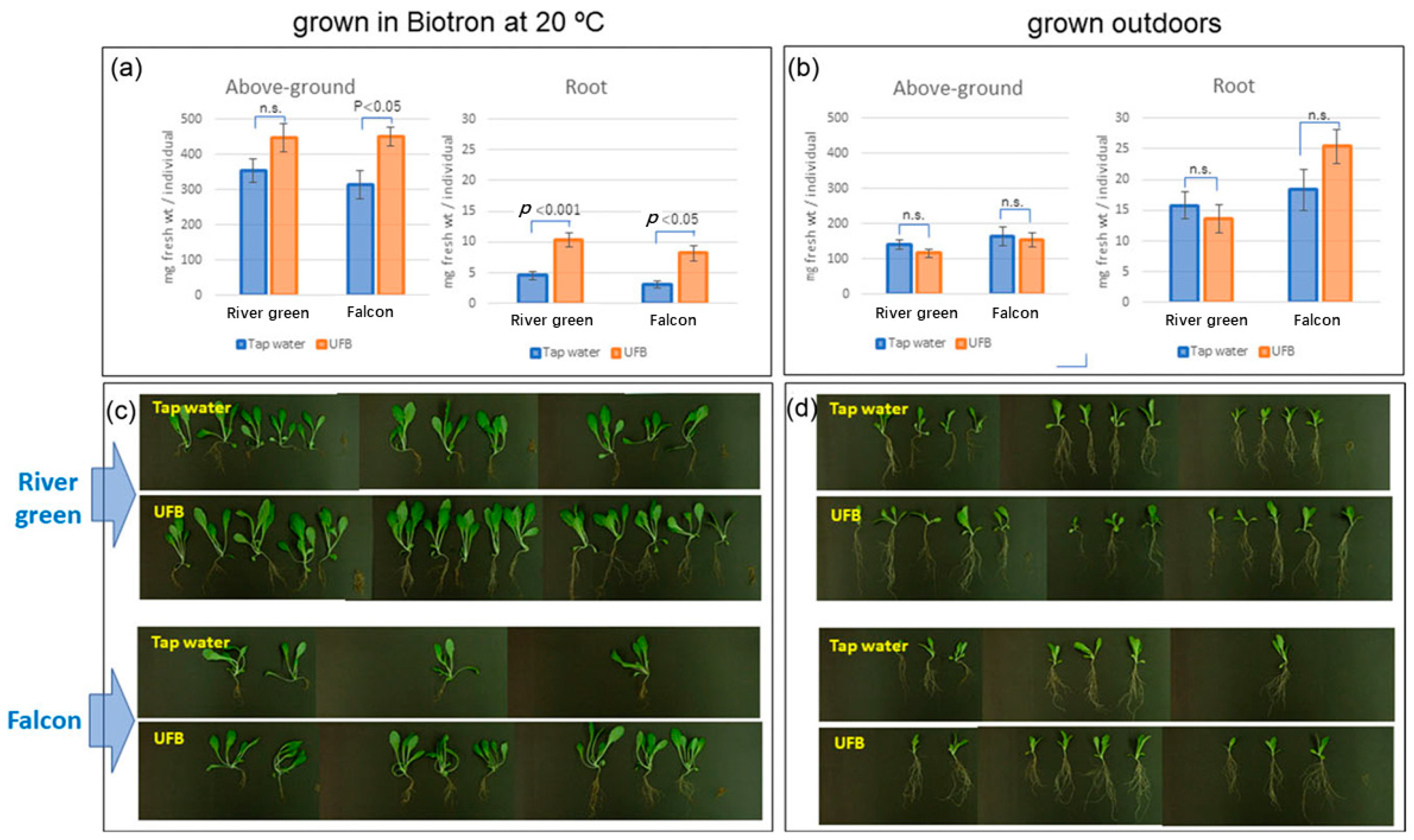 Agriculture 15 02484 g016 Agriculture 15 02484 g016