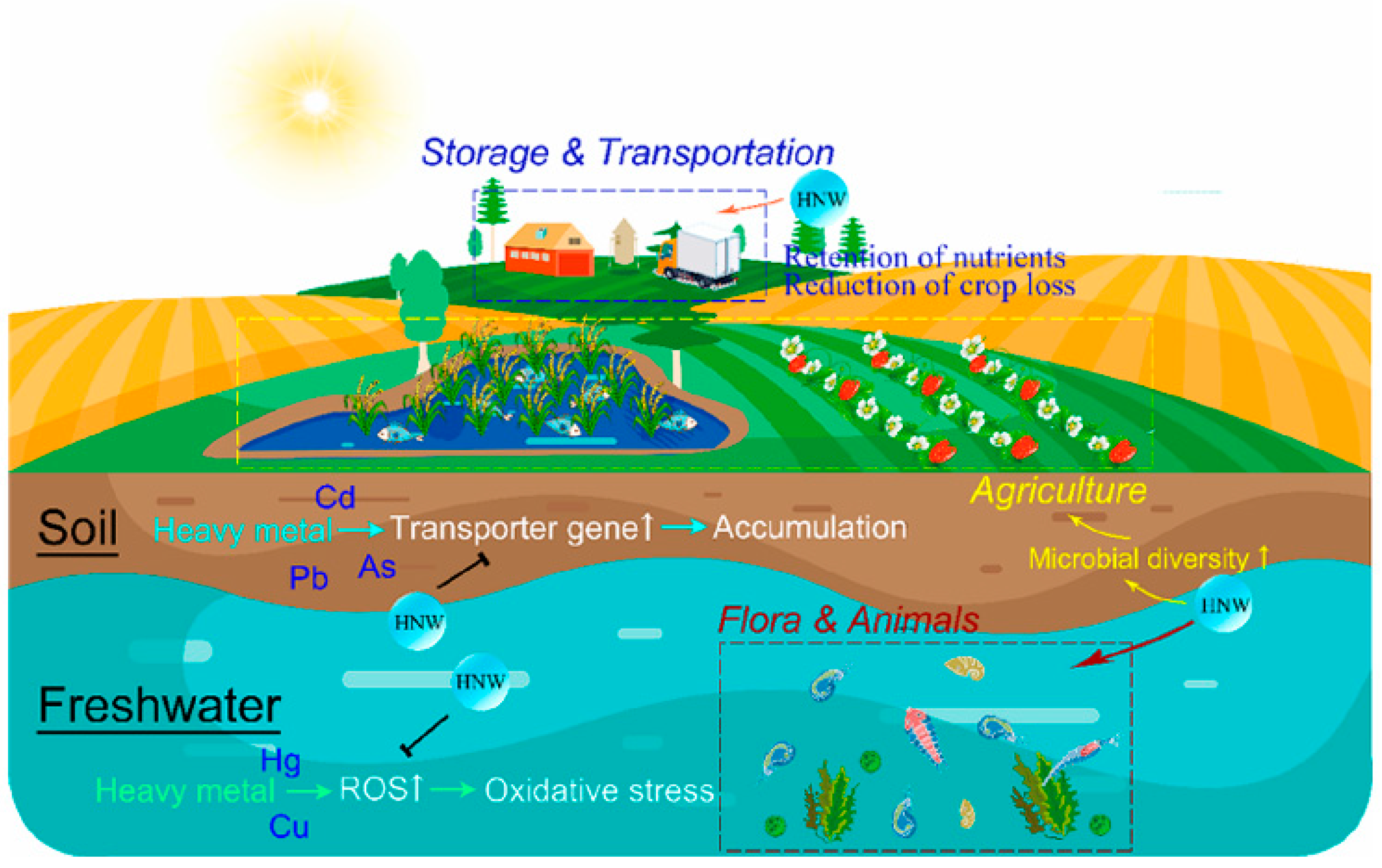 Agriculture 15 02484 g017 Agriculture 15 02484 g017