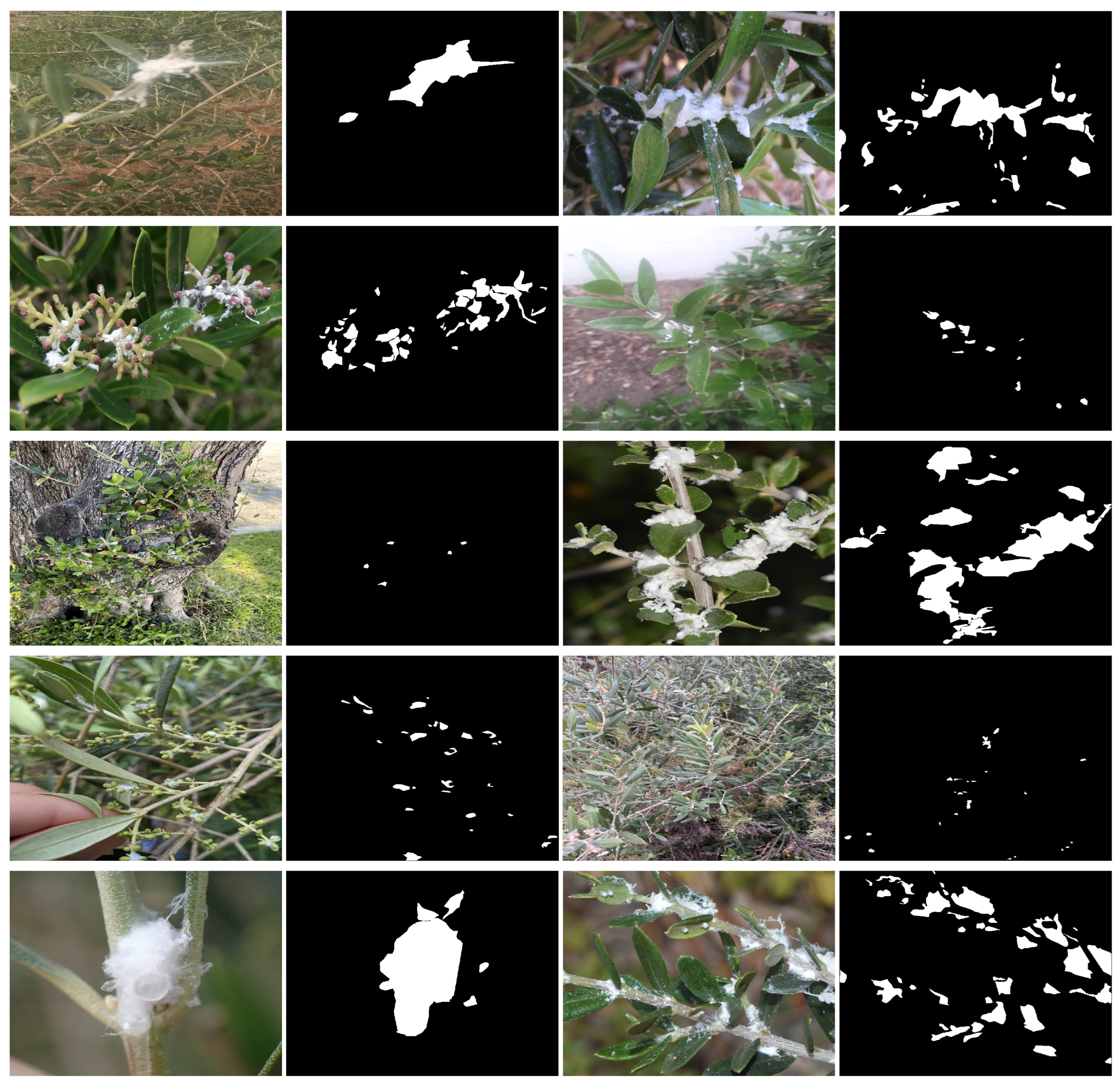 Agriculture 15 02485 g004