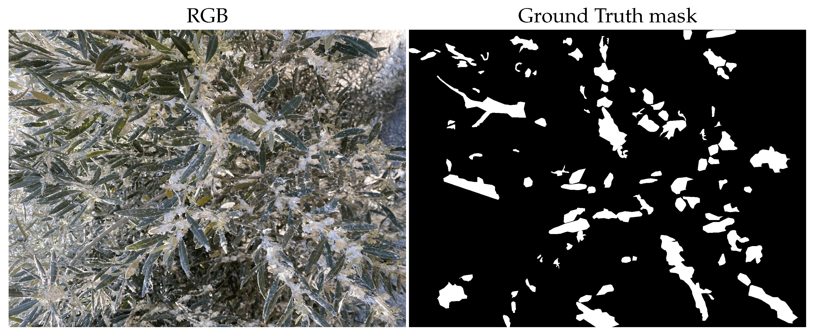 Agriculture 15 02485 g008a