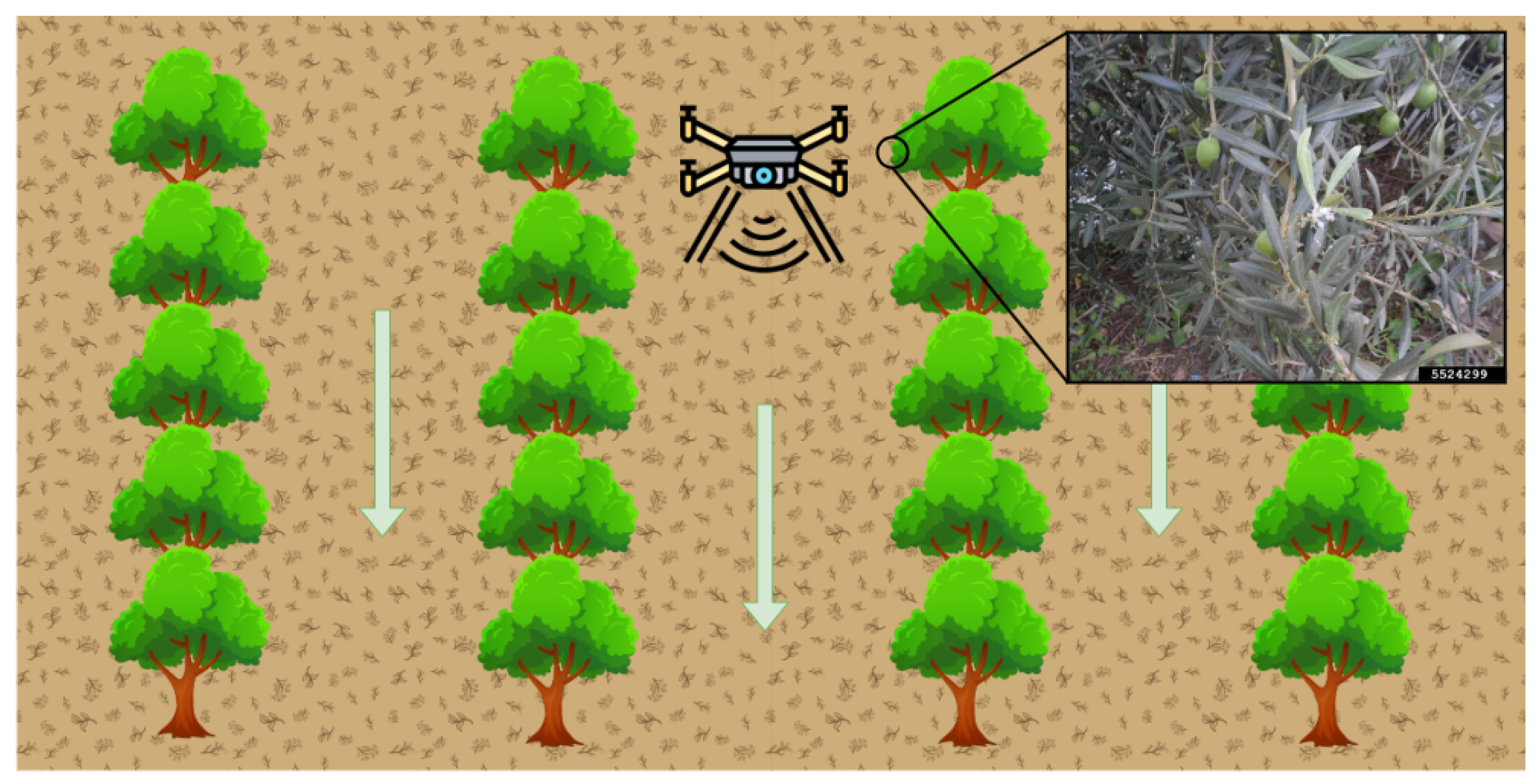 Agriculture 15 02485 g009