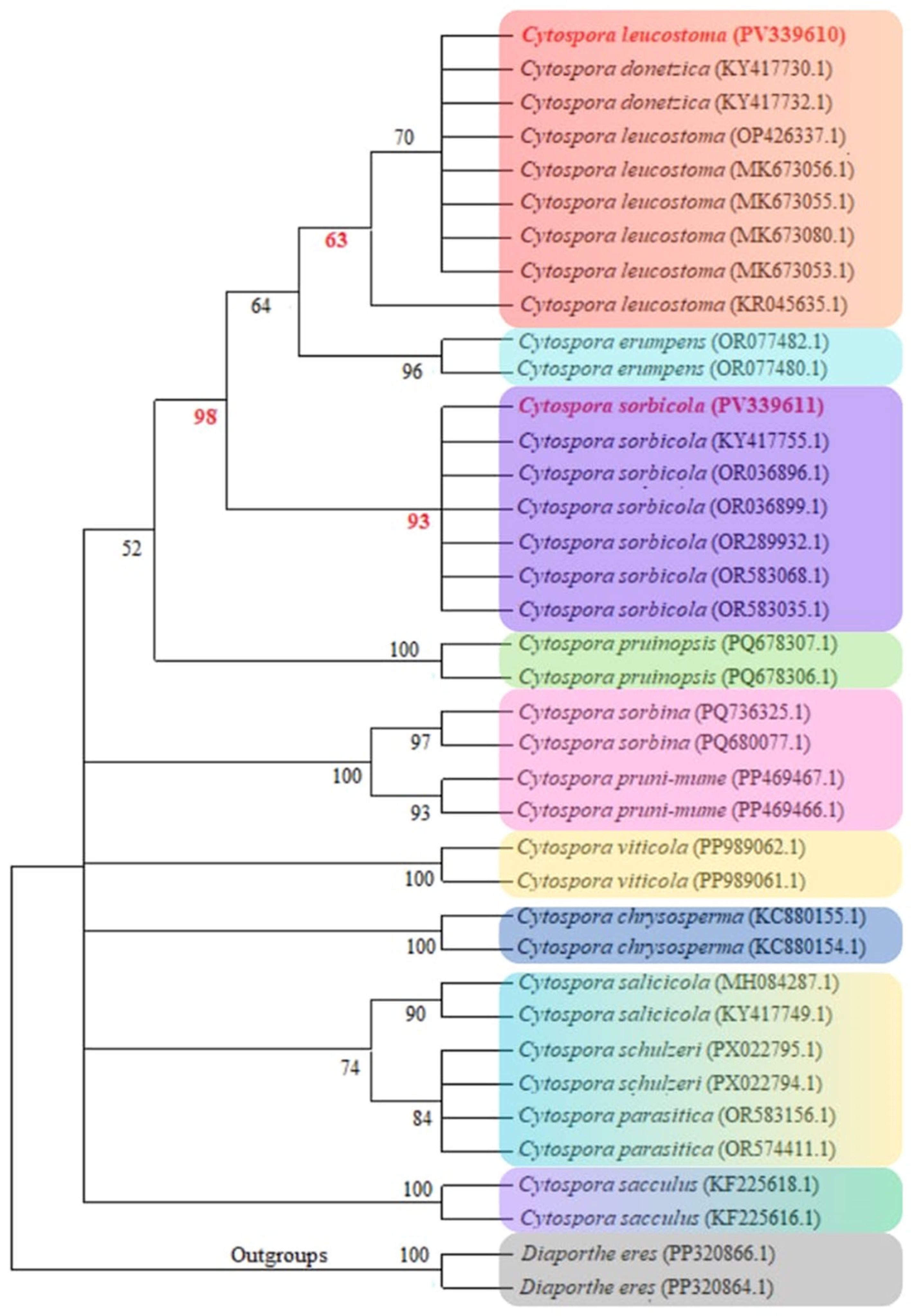 Agriculture 15 02490 g003