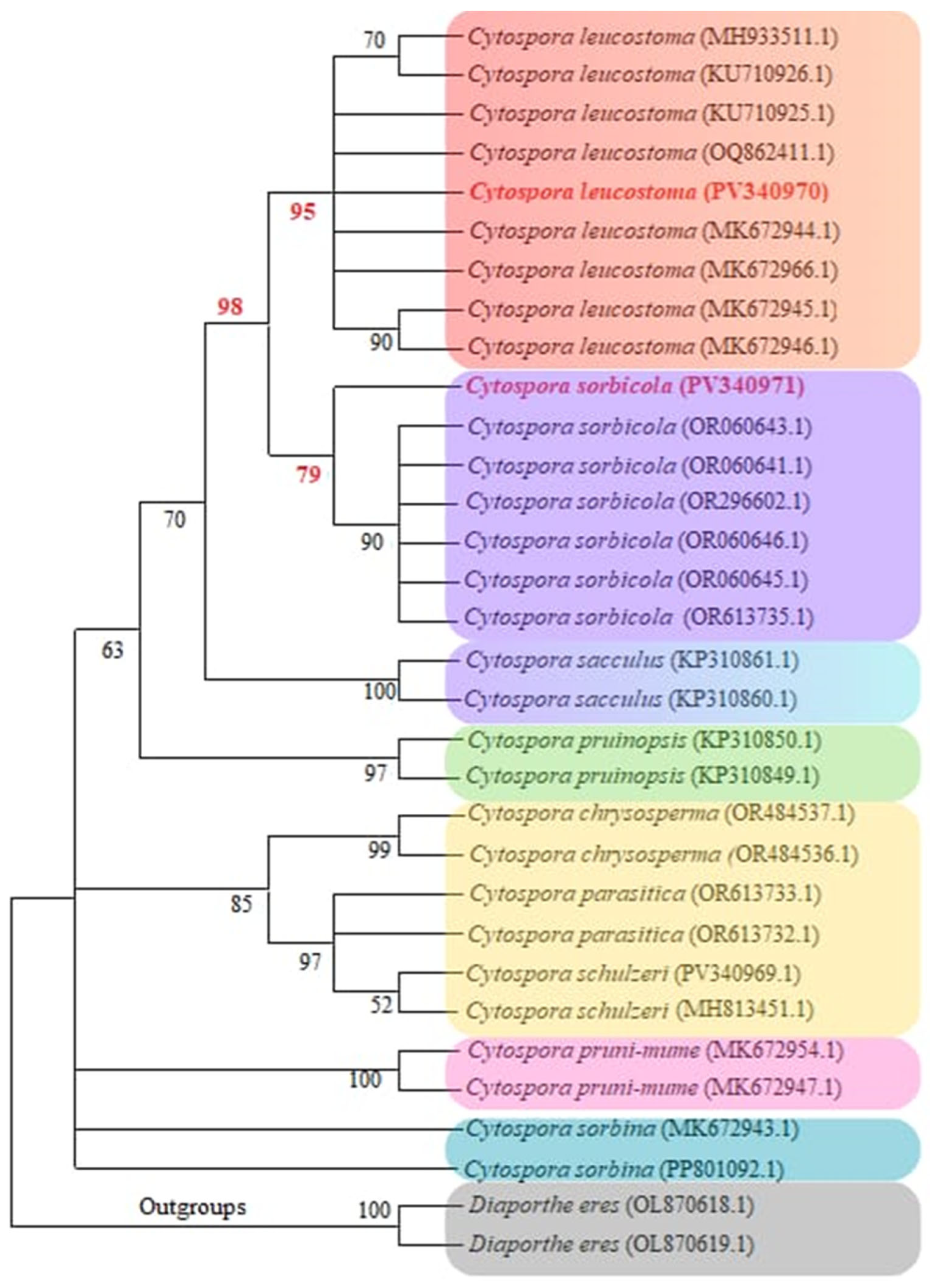 Agriculture 15 02490 g004