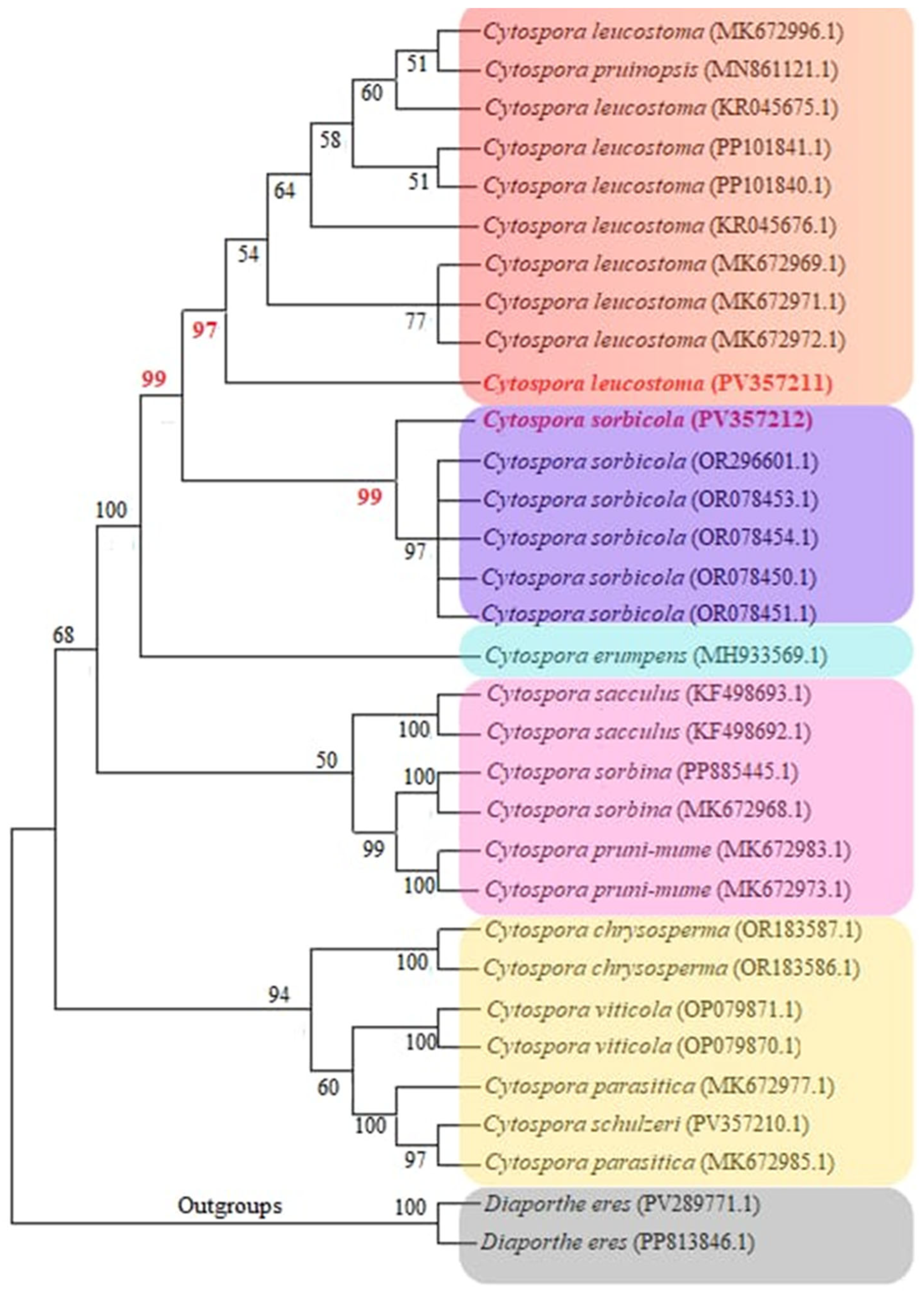 Agriculture 15 02490 g005