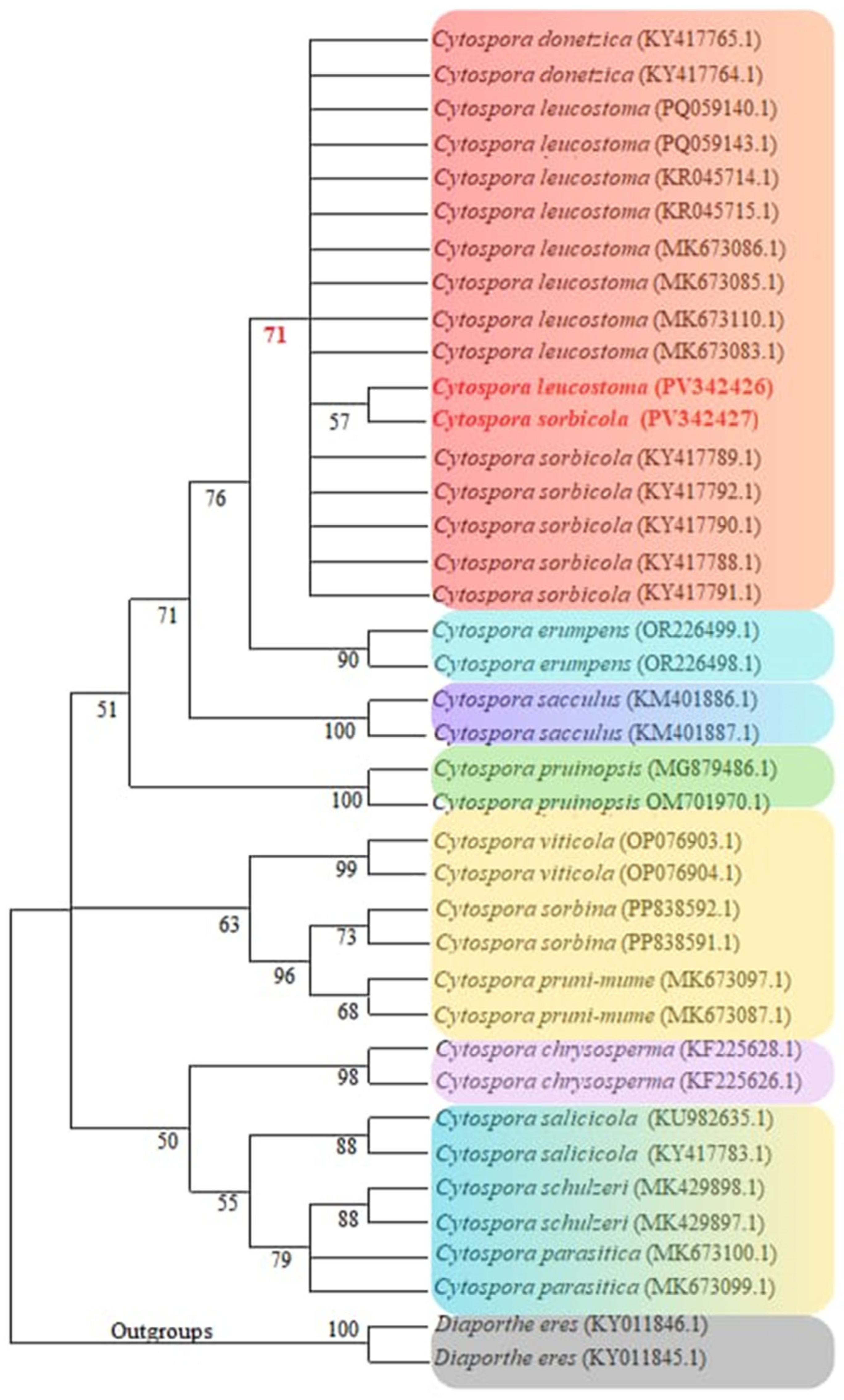 Agriculture 15 02490 g006