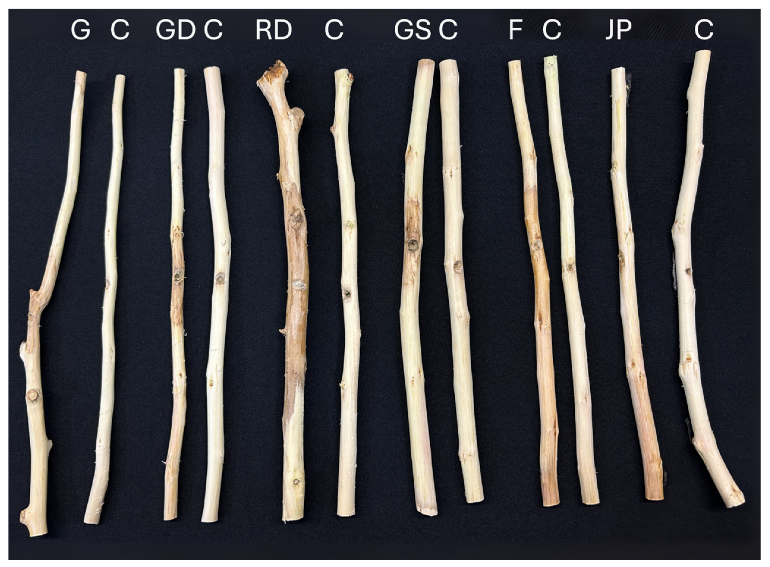 Agriculture 15 02490 g007