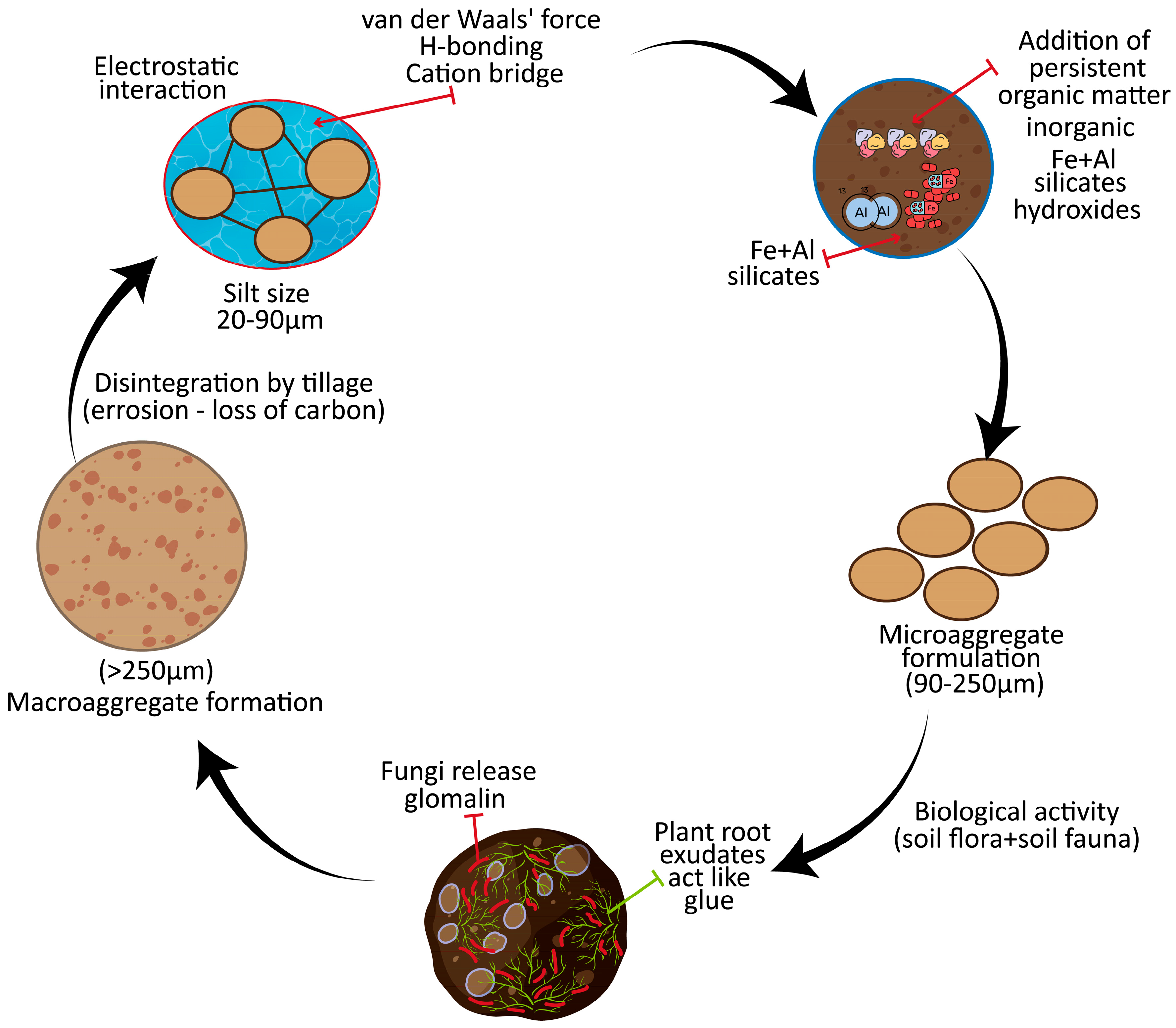 Agriculture 15 02500 g001