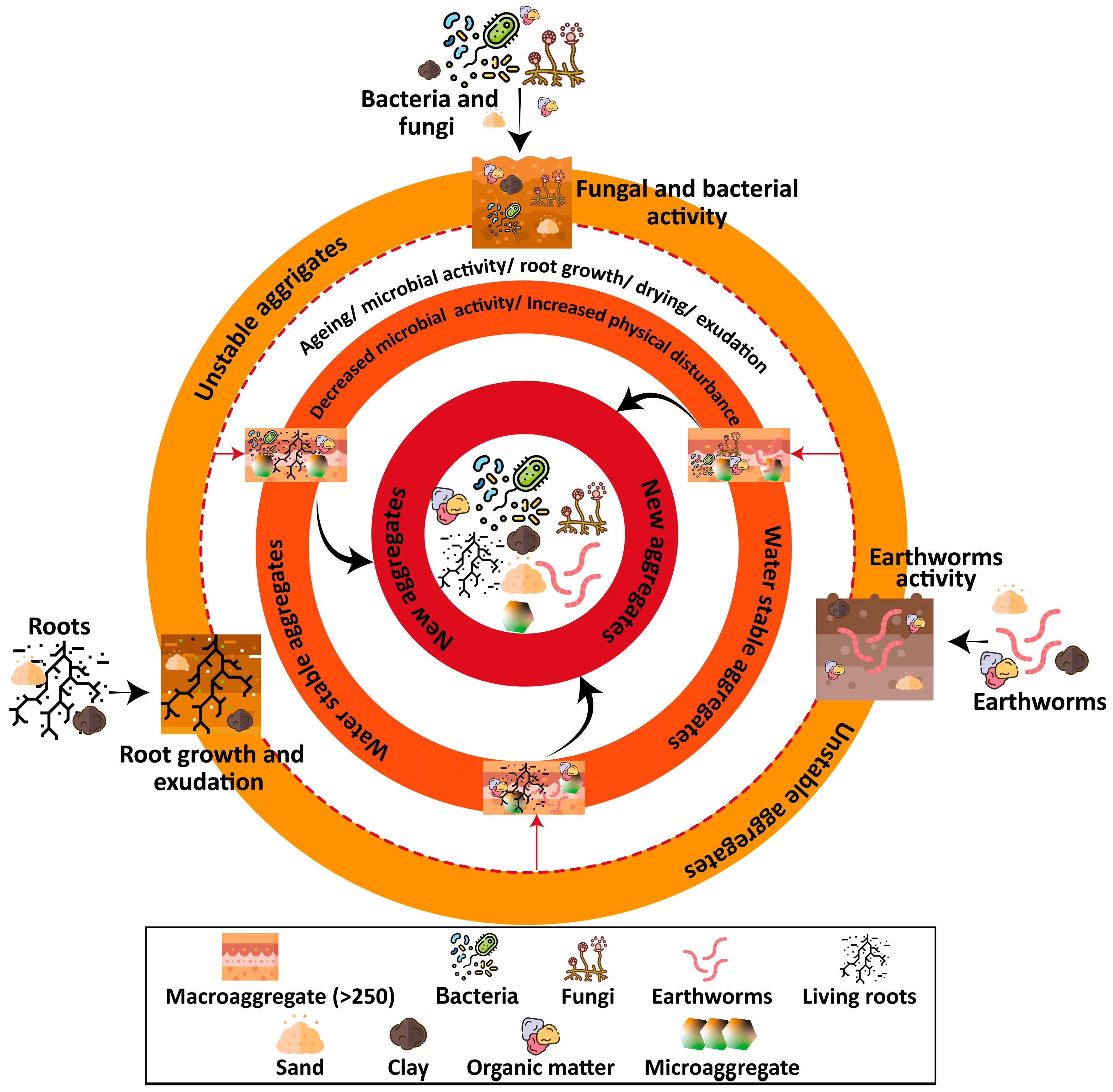 Agriculture 15 02500 g002