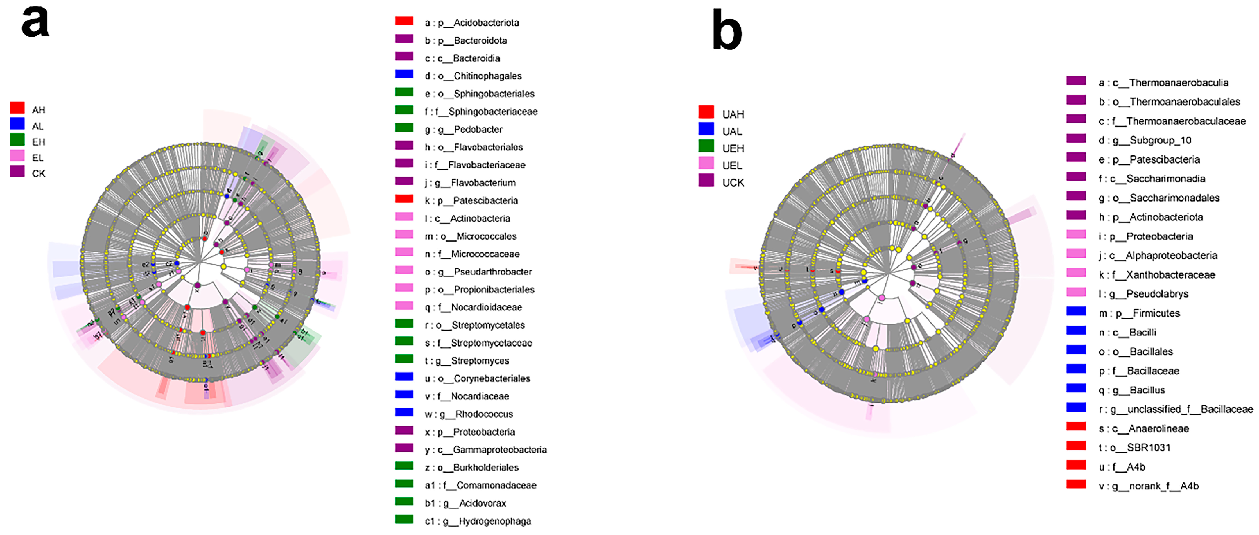 Agriculture 15 02502 g003 Agriculture 15 02502 g003