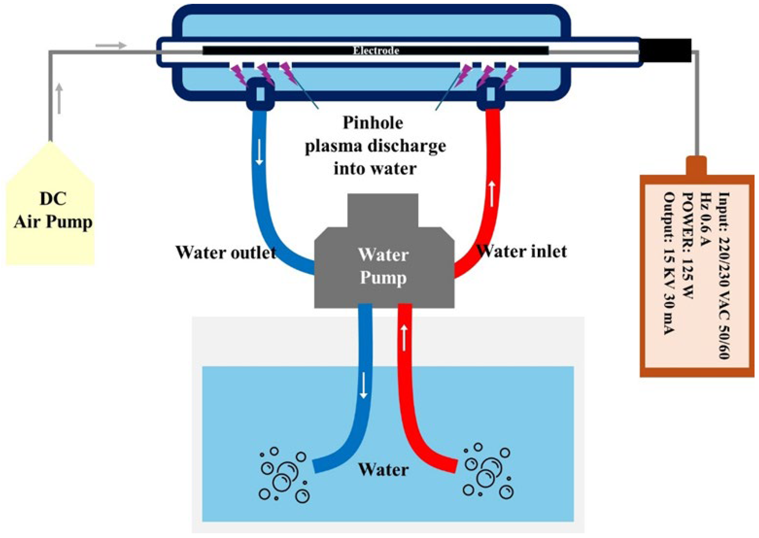 Agriculture 15 02521 g002