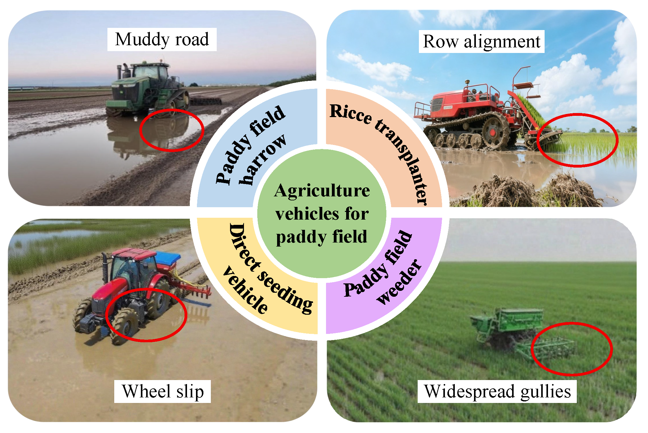 Agriculture 15 02522 g004