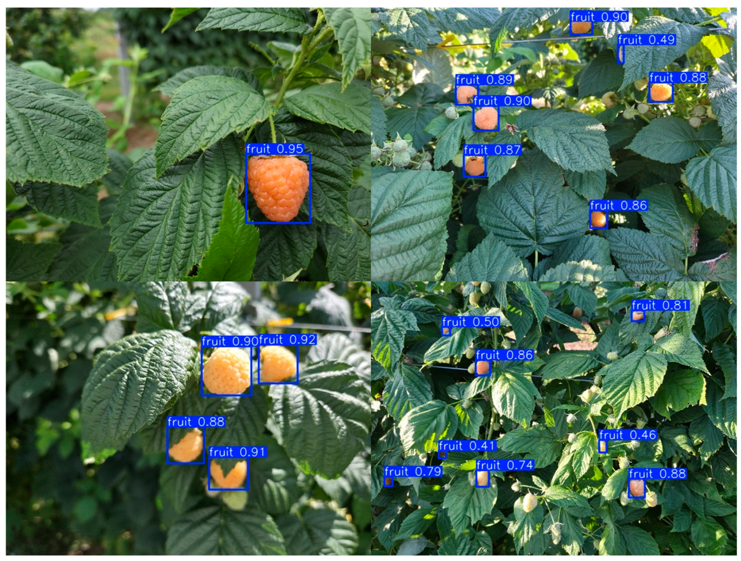 Agriculture 15 02530 g005